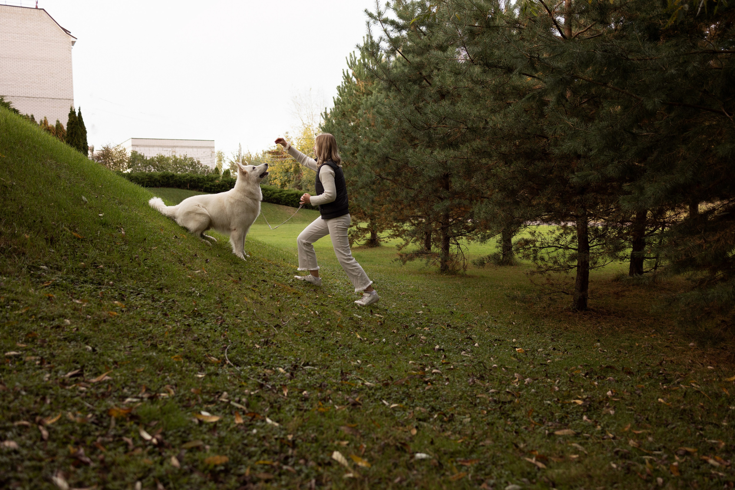 Алина и Райден. Фотограф — Анималист Наталья Тямушева