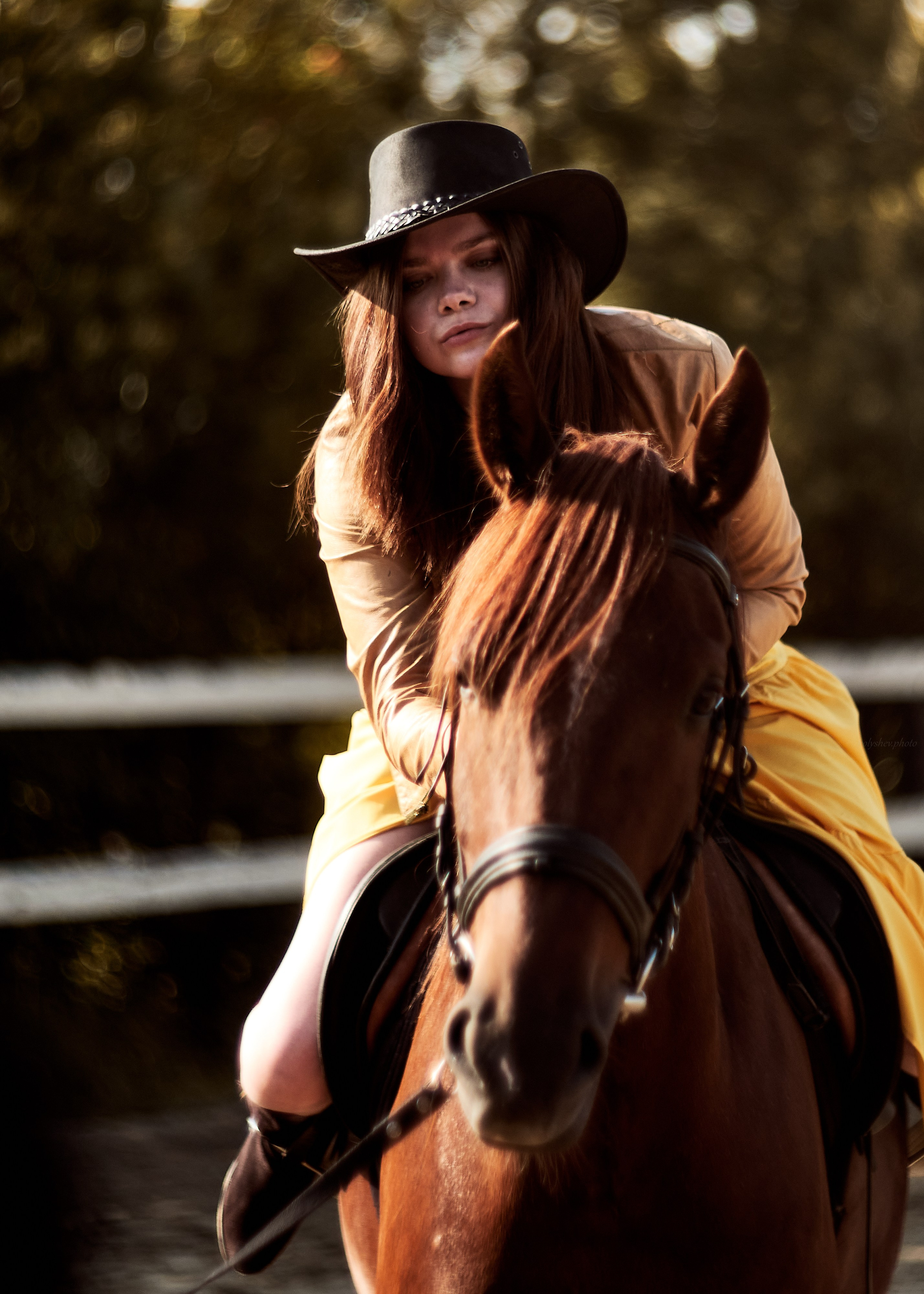 Фотосессии с животными в Люберцах