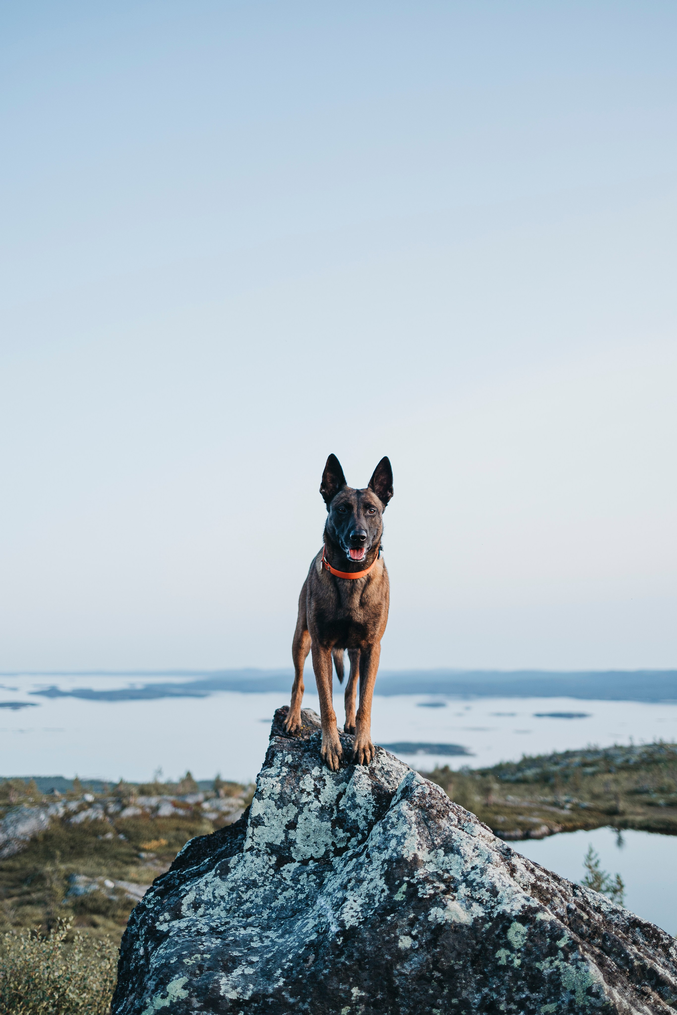Горы. Фотограф-анималист Анна Маринич
