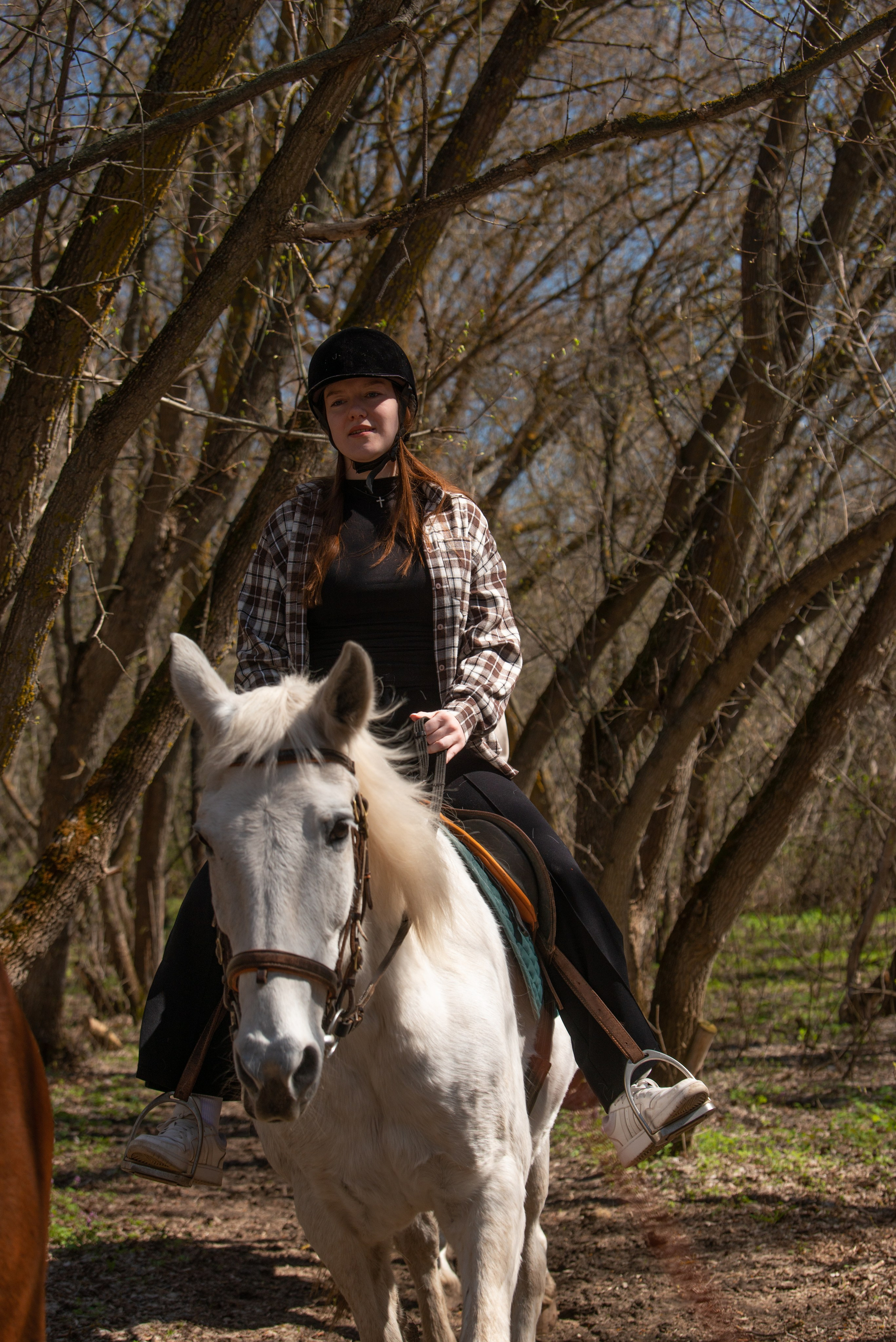 Прогулка. Конный фотограф в Саратове Юлия Иванова