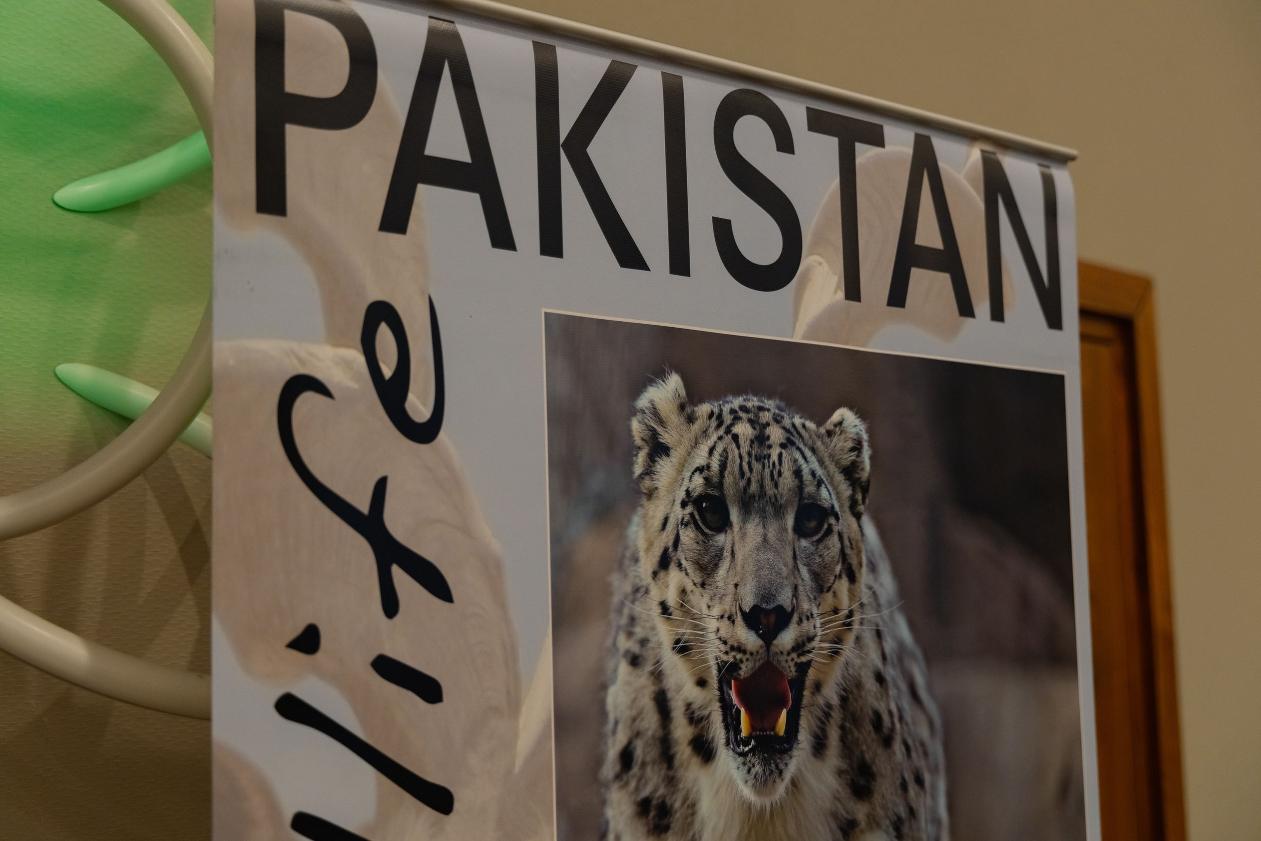 Фотосъемка делегации Пакистана в Беларуси в отеле Марриотт. Свадебный фотограф в Минске/Беларуси Сергей Спиридонов