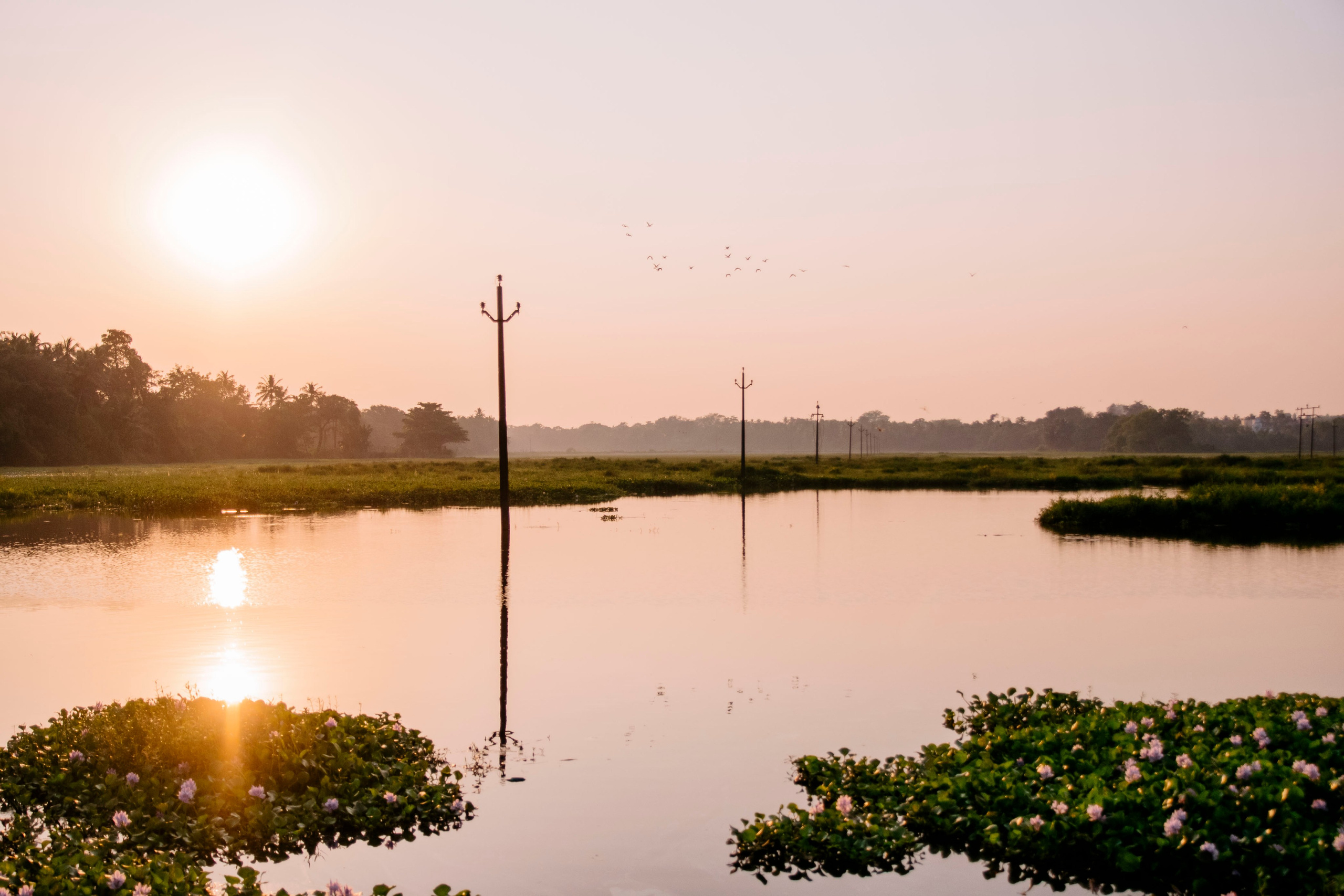 Гоа. индия. Iraogo