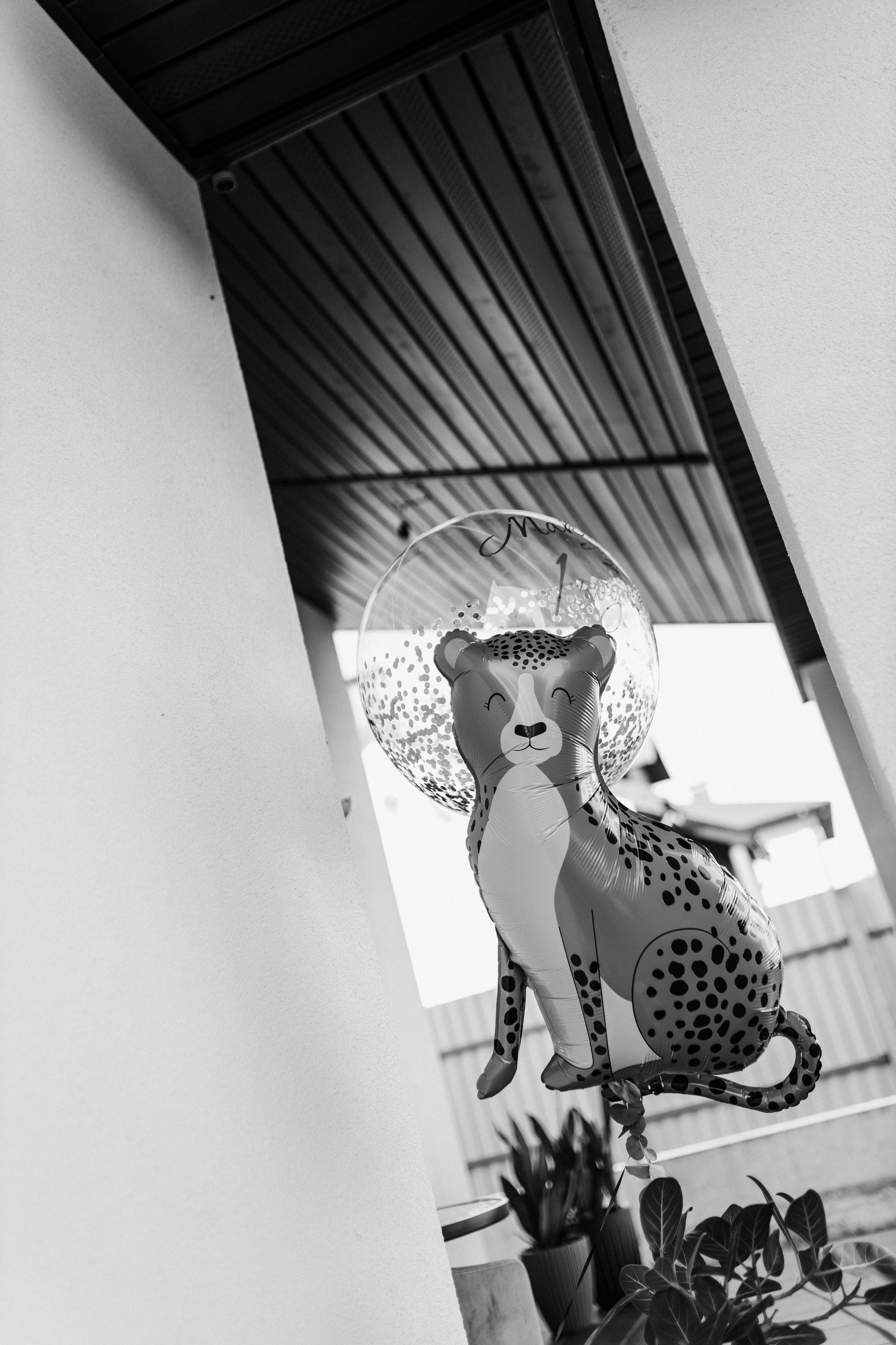 Максику 1 годик, отмечаем дома