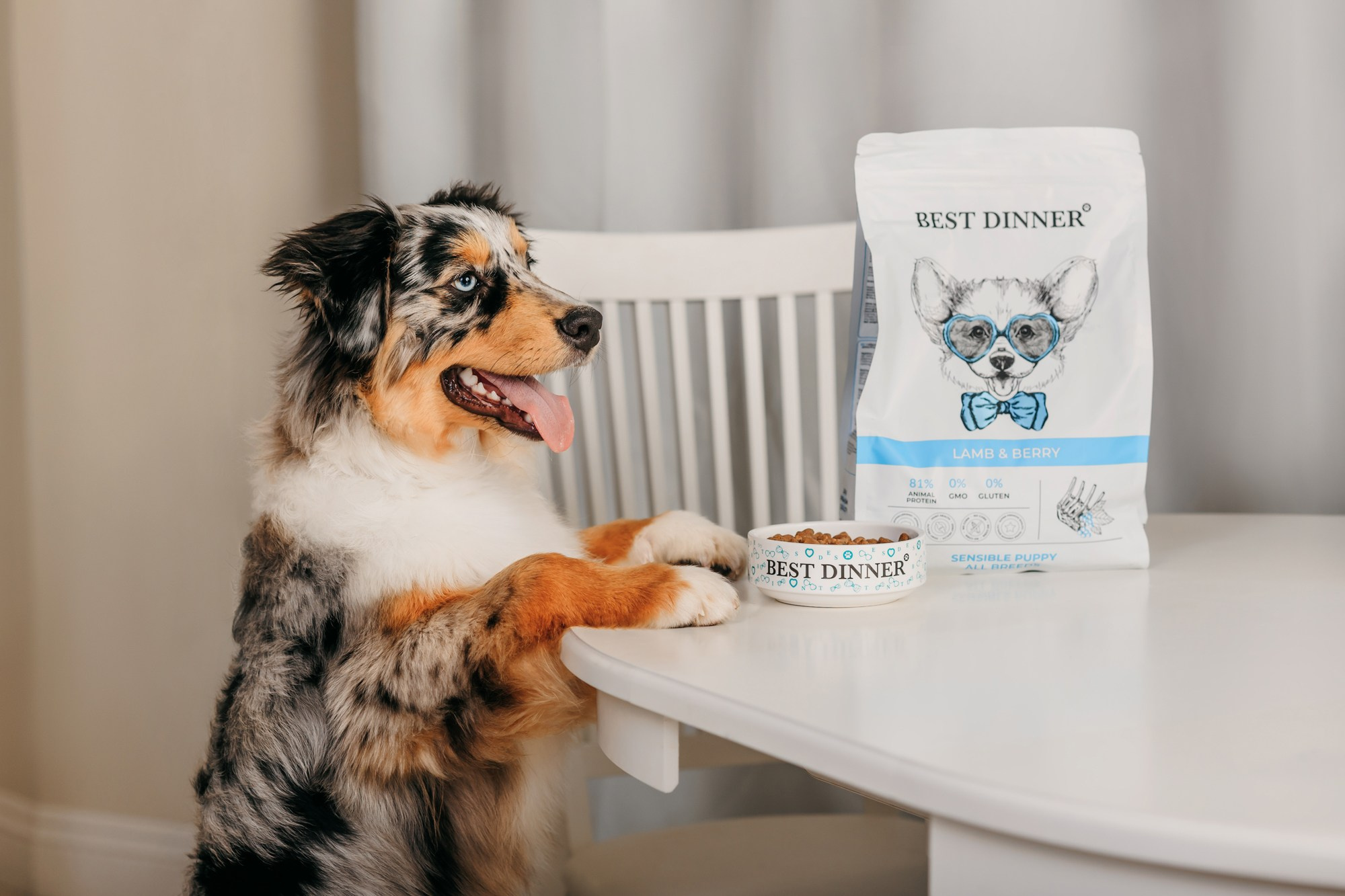 Корма Best Dinner. Фотограф-анималист Елена Радченко, Москва