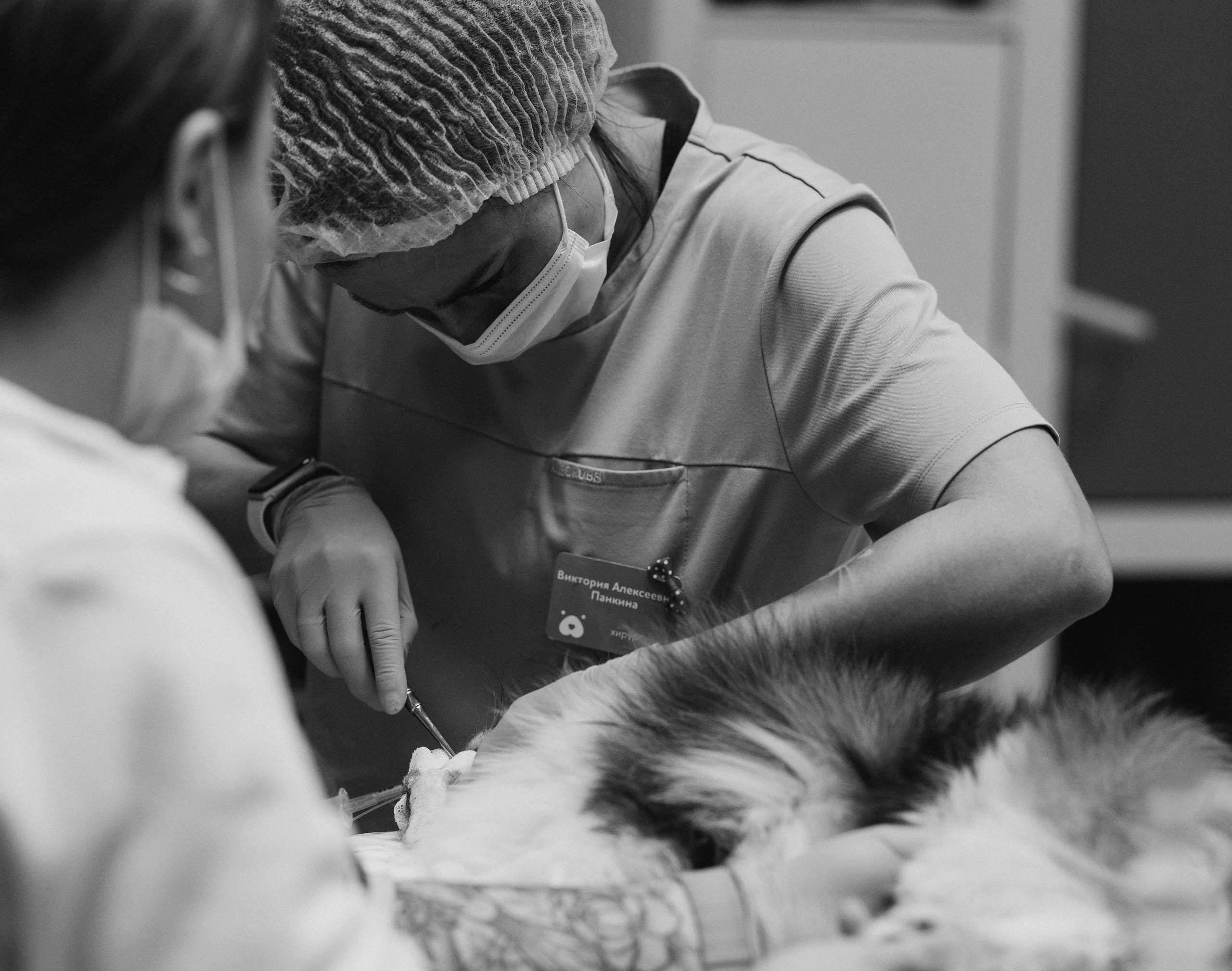 VetLife. Татьяна Афонина | Фотограф