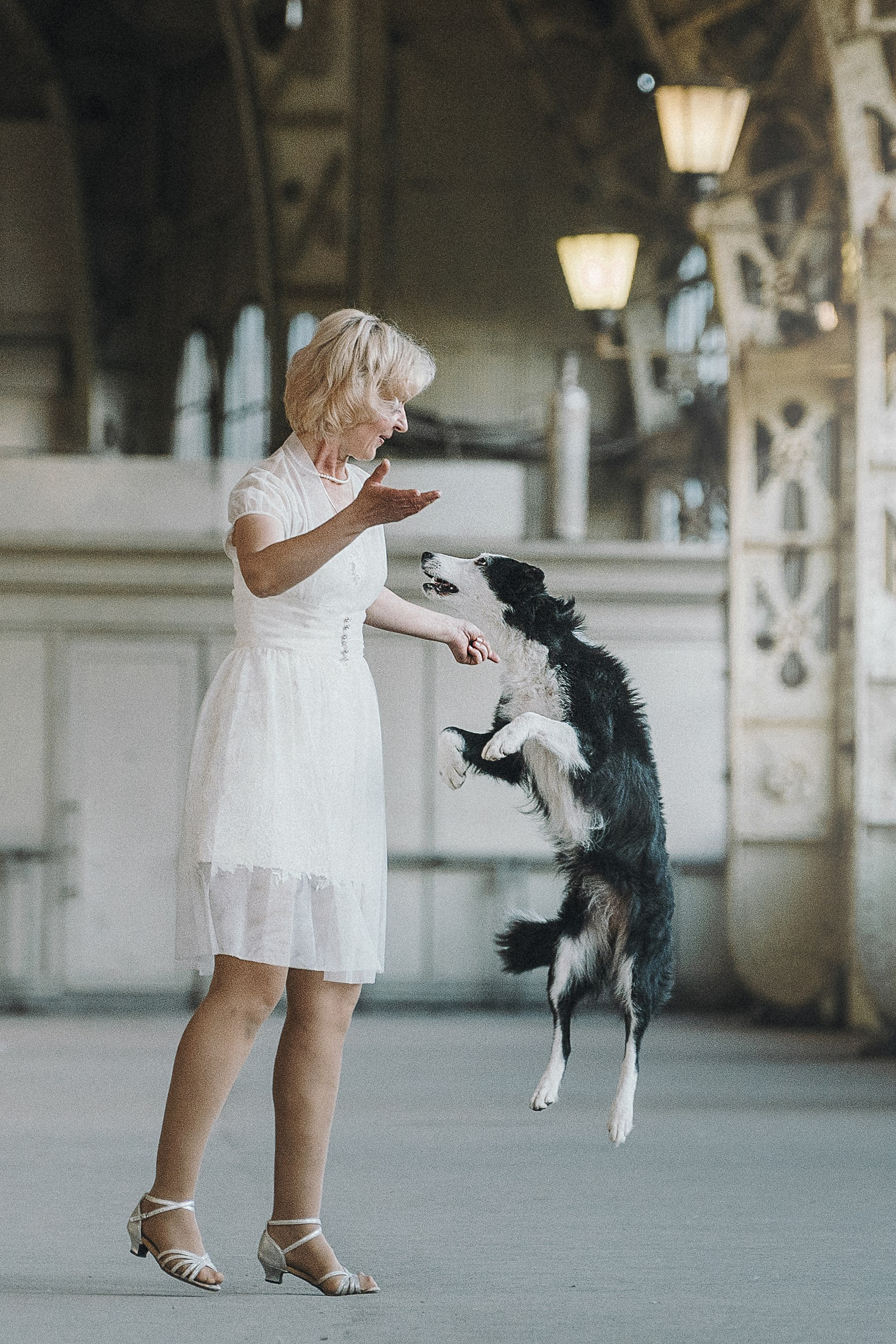 Таня, Марта и Клипса. Фотограф анималист в Москве и Санкт-Петербурге Свиридова Анна