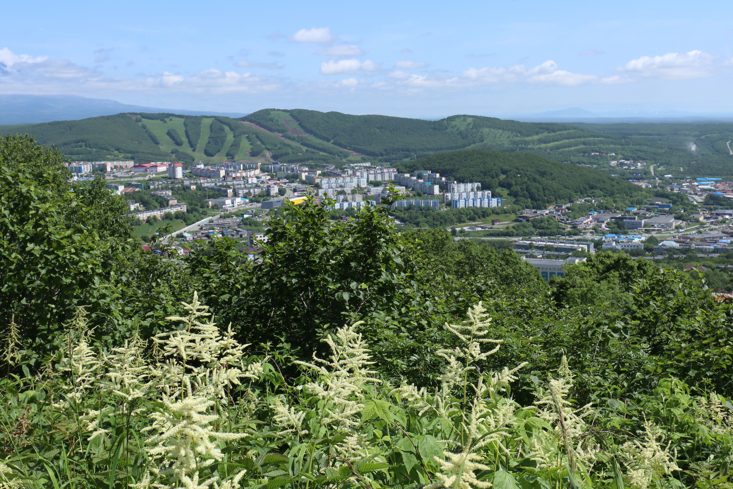 Камчатка и о. Парамушир. Июль 2024. Путешественник-фотограф из Санкт-Петербурга Татьяна Свистулина