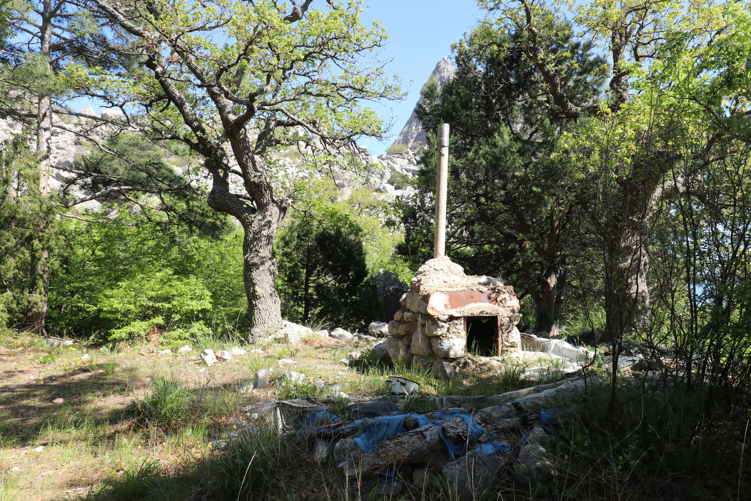 Крым. ЮБК (Севастополь, Кастрополь, Ялта). Май 2023. Путешественник-фотограф из Санкт-Петербурга Татьяна Свистулина