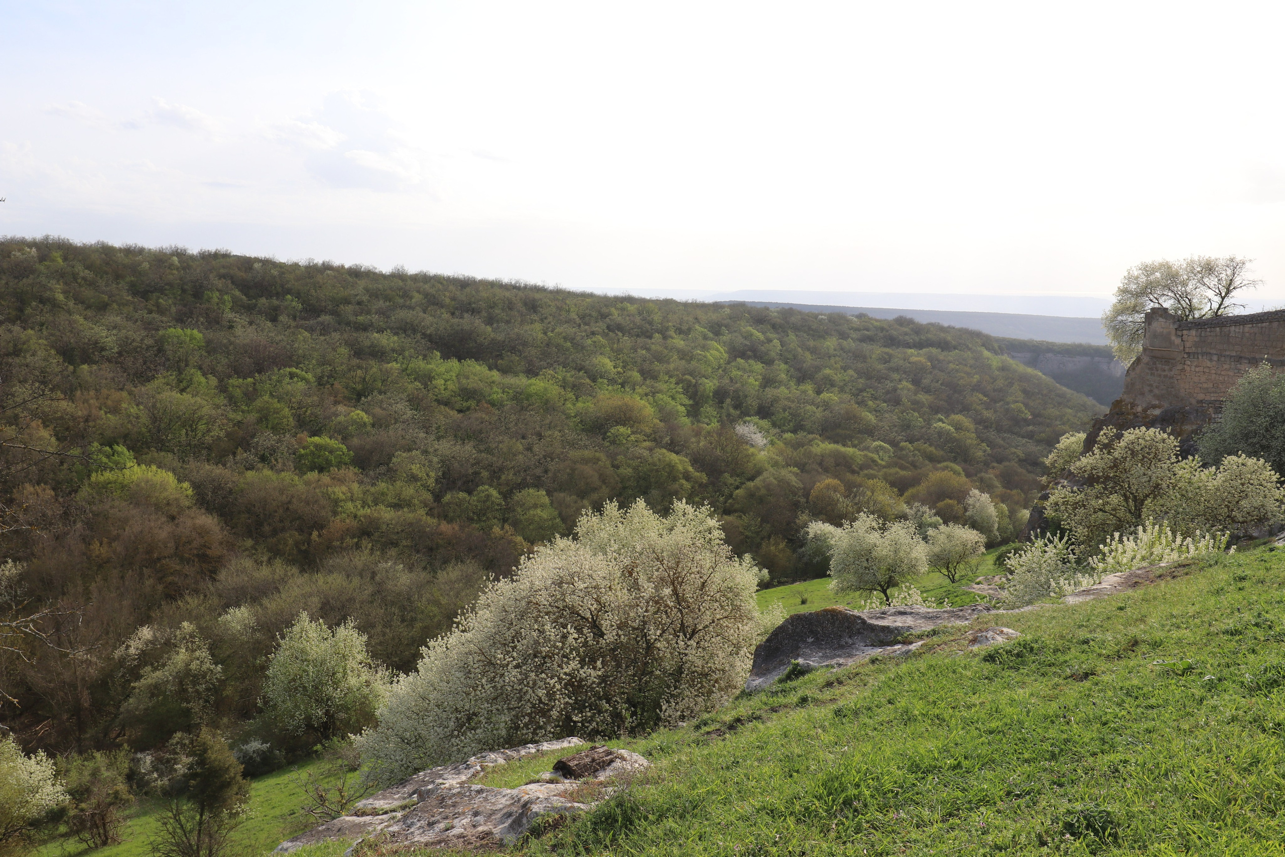 Крым. ЮБК (Бахчисарай, Кастрополь, Таракташская тропа). Май 2021. Путешественник-фотограф из Санкт-Петербурга Татьяна Свистулина