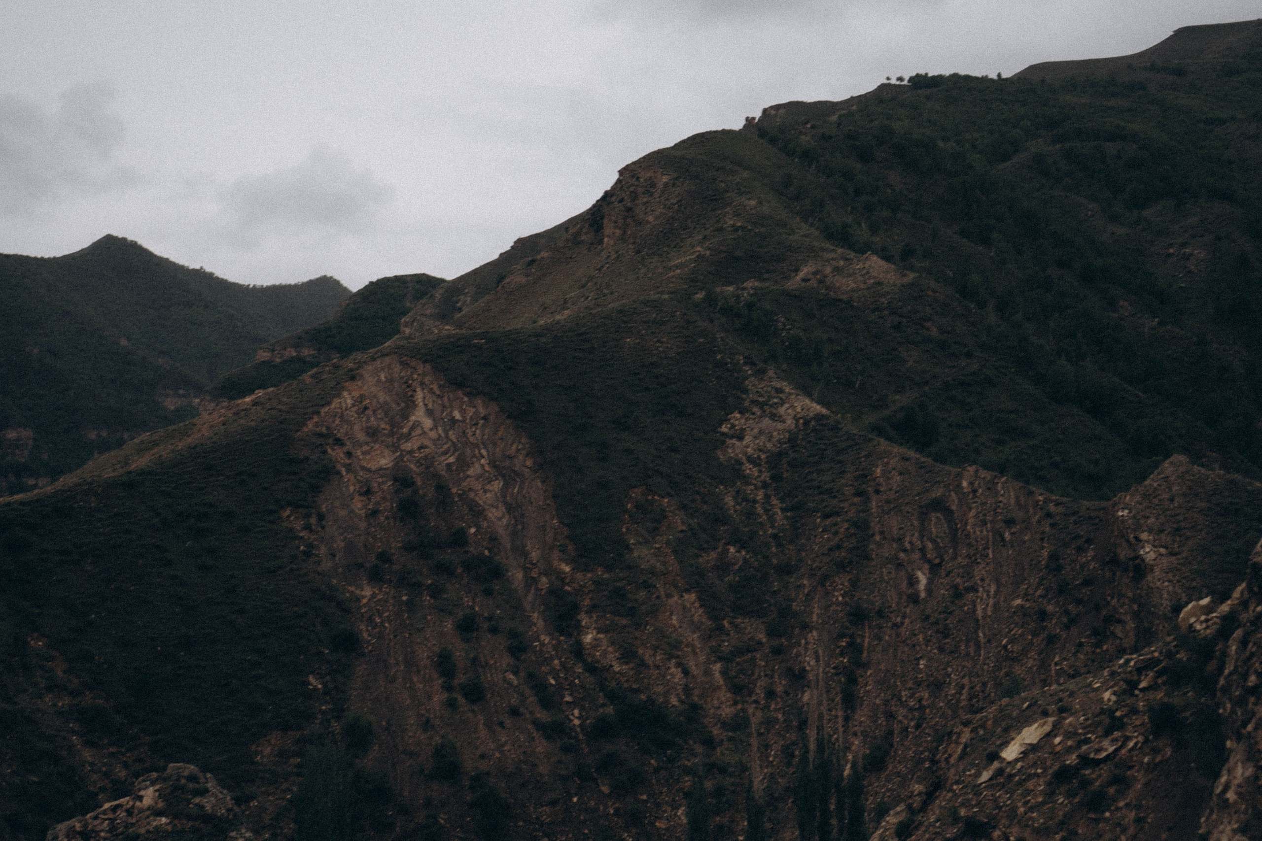 Кавказ. Профессиональный фотограф, Санкт-Петербург — Виктория Богомолова