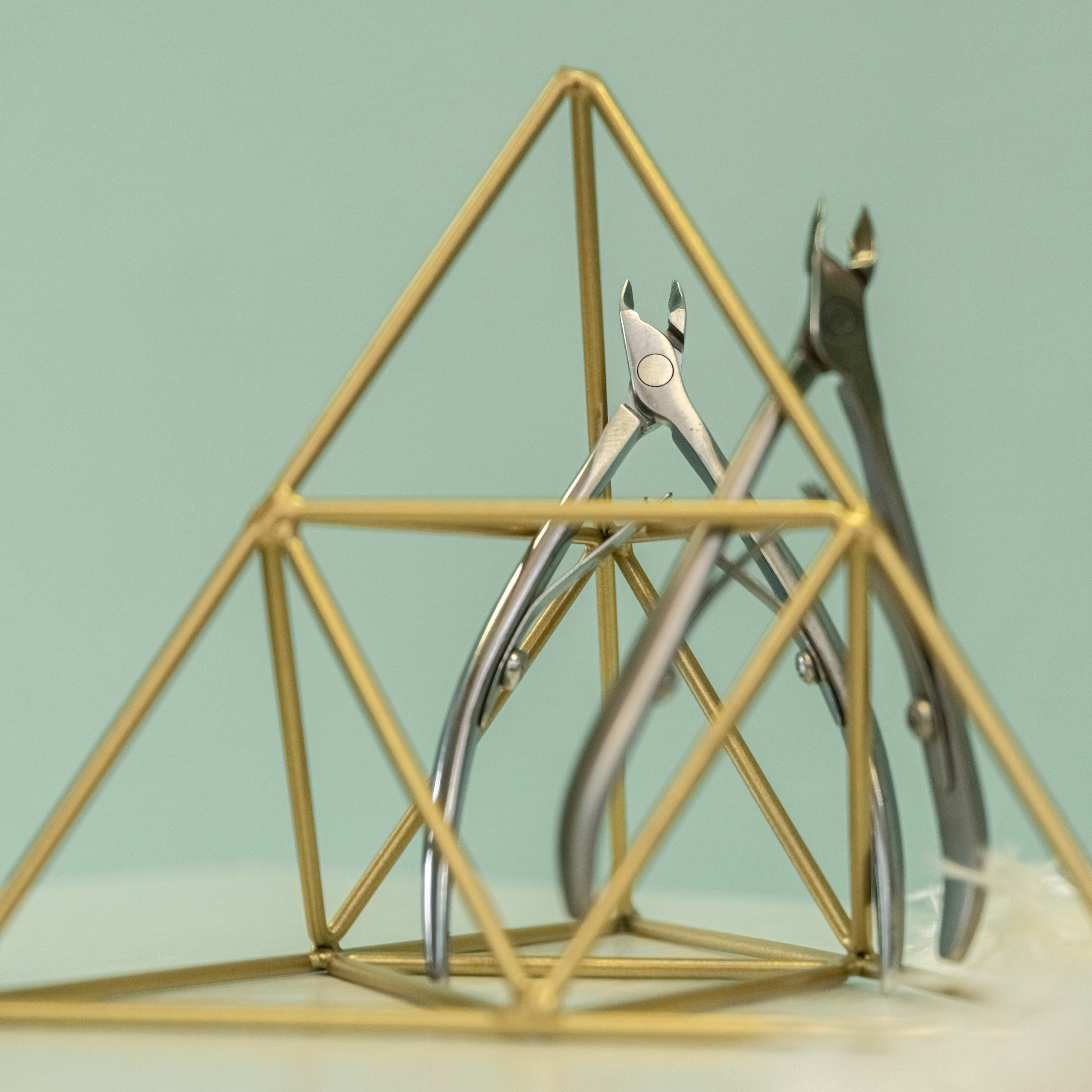 Контент. Фотограф Светлана Воронцова