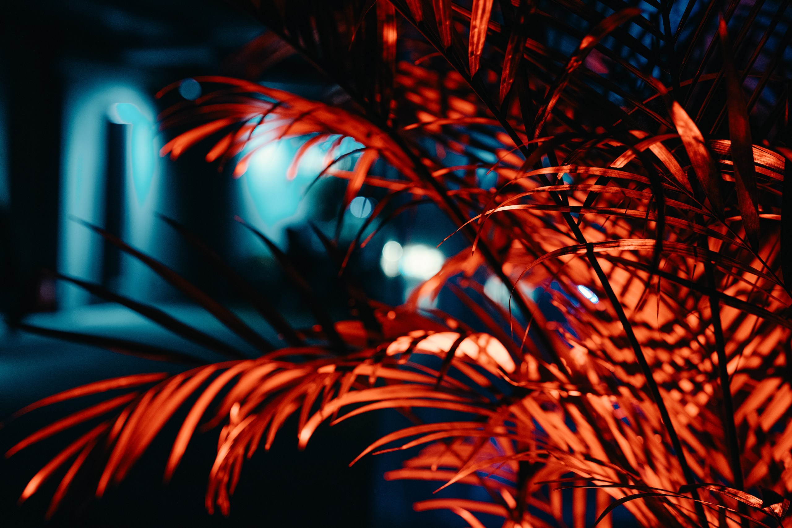 Centra Helloween. Фотограф Дмитрий Алехин. Репортажная съемка мероприятий в Москве