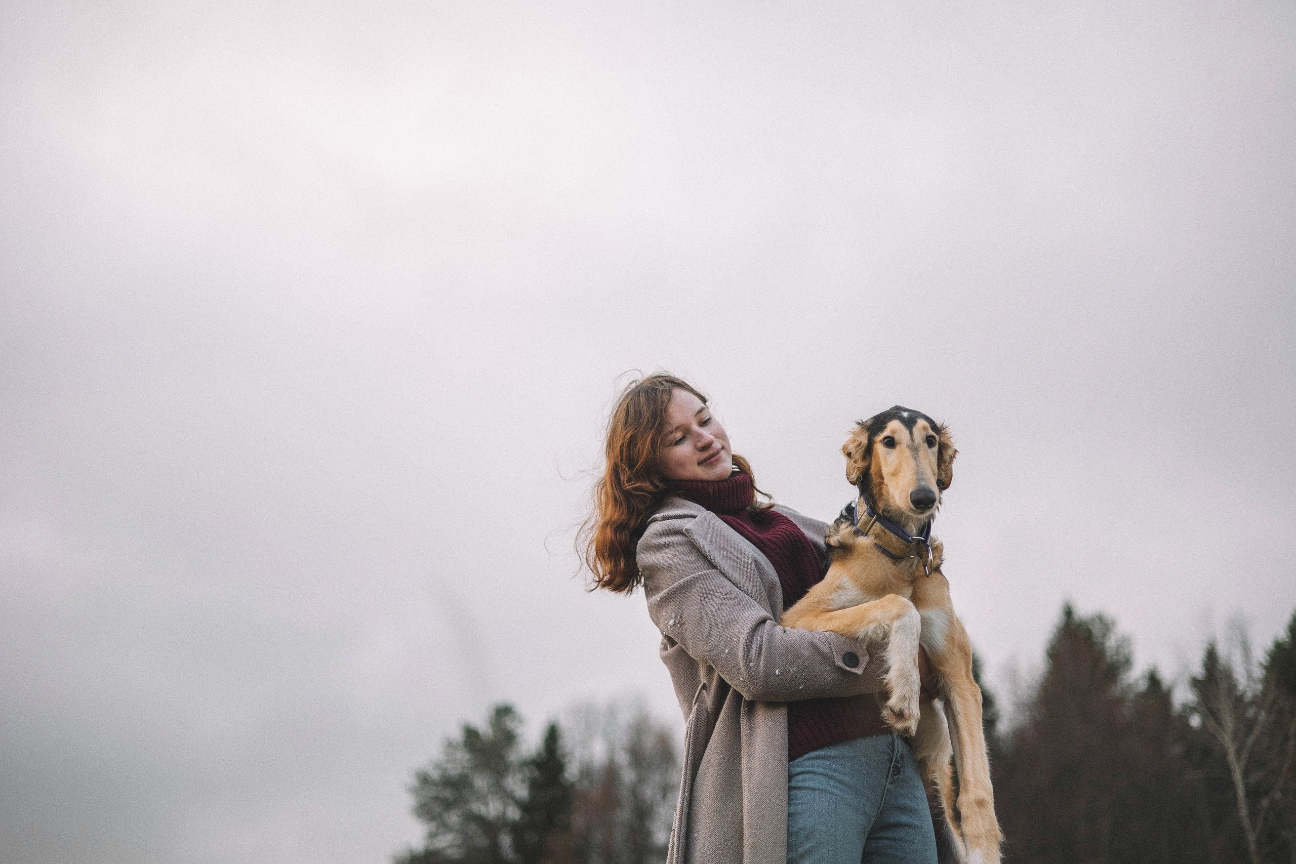 Алена, Леви и Микаса. Фотограф-анималист Богданова Полина