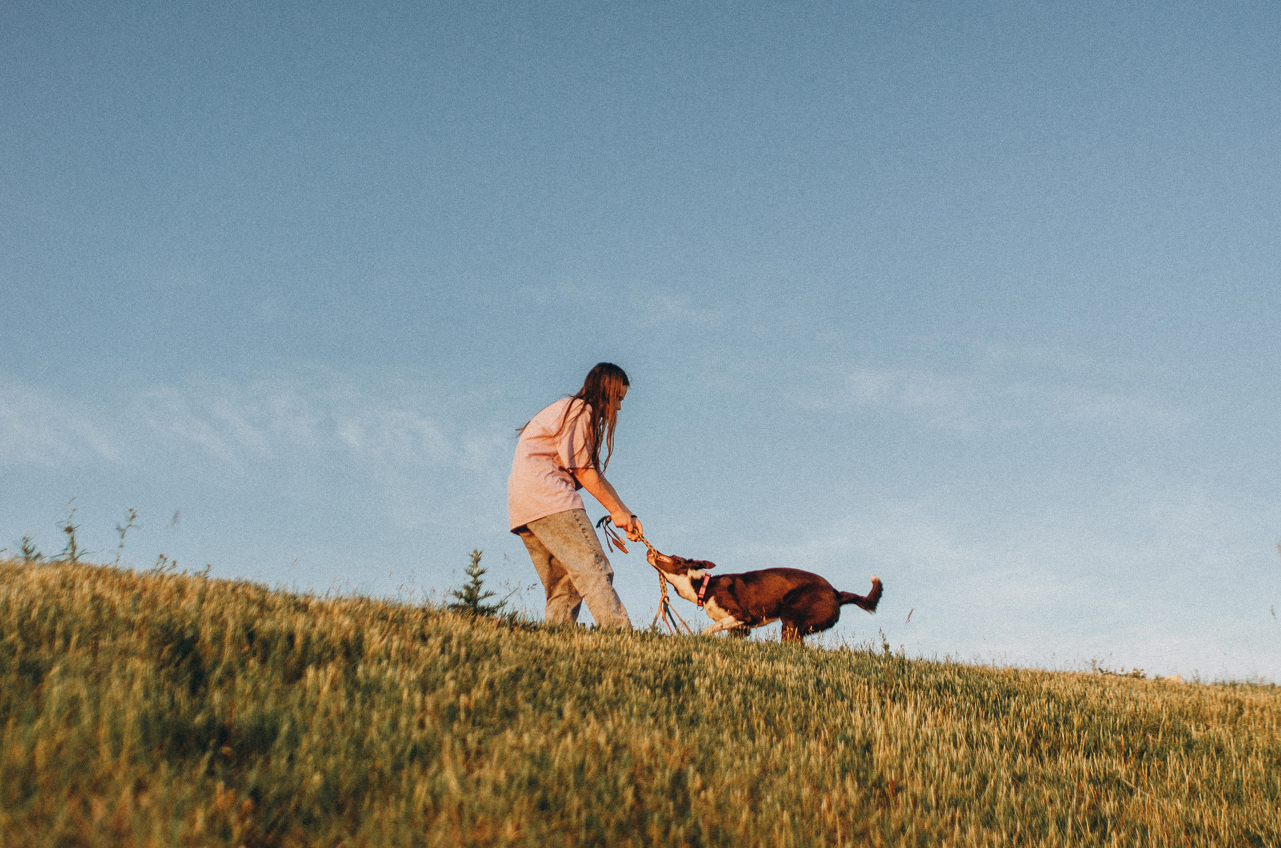 Вика и Эсса. Фотограф-анималист Богданова Полина