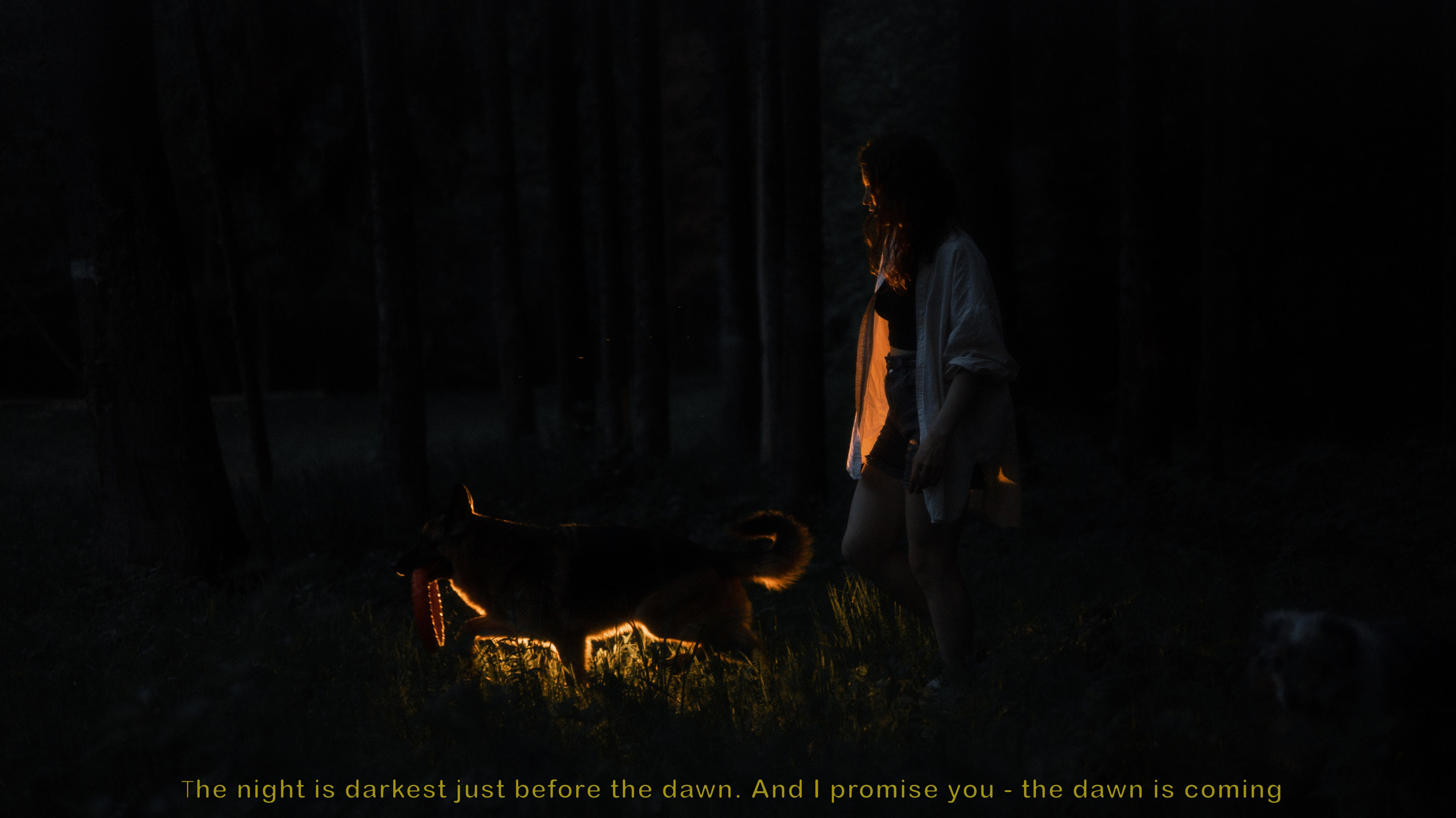 Настя, Шуня, Милка и Тигуан. Фотограф-анималист Богданова Полина