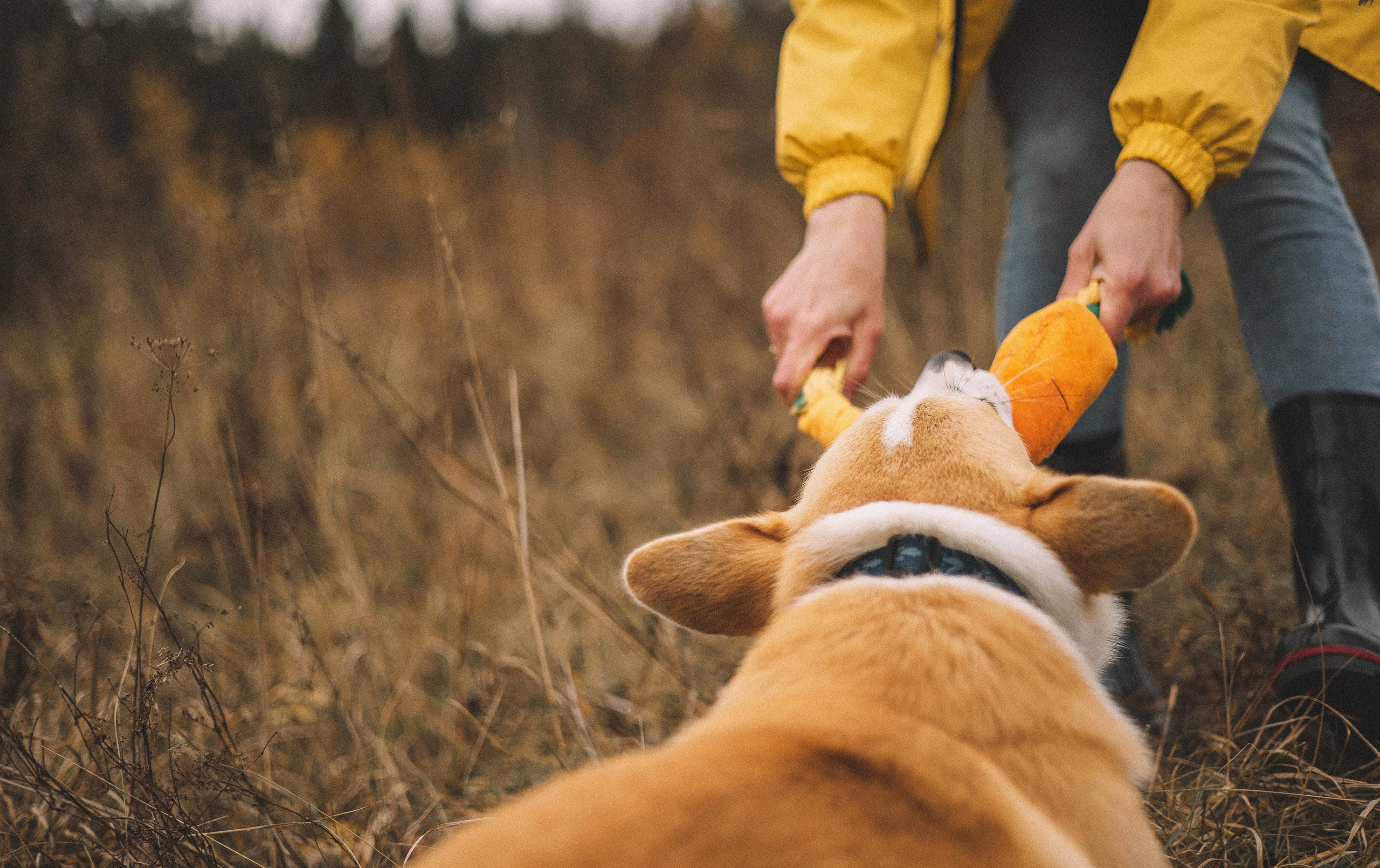 Юля и барри. Фотограф-анималист Богданова Полина