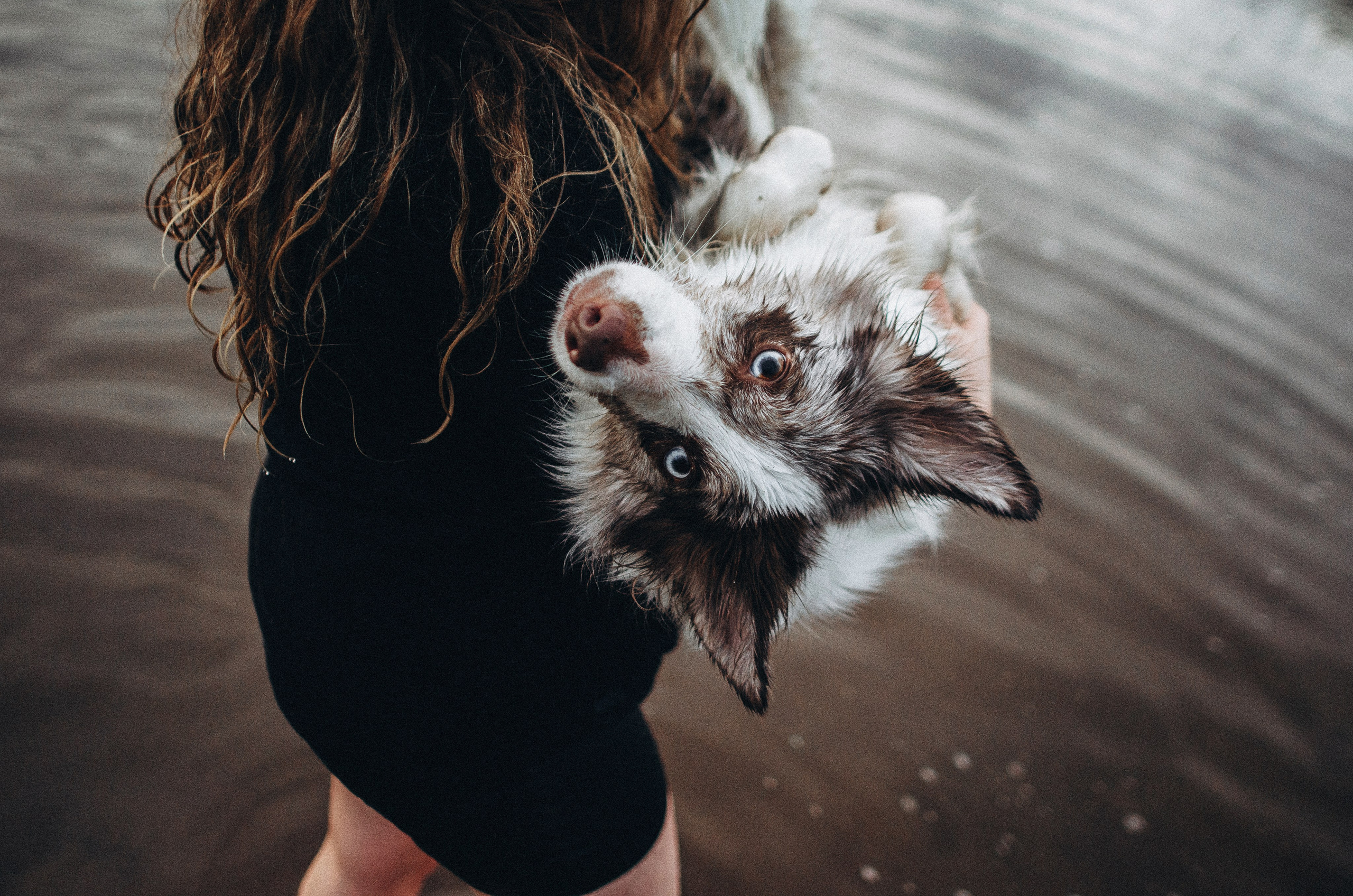 Алина и Бруна. Фотограф-анималист Богданова Полина