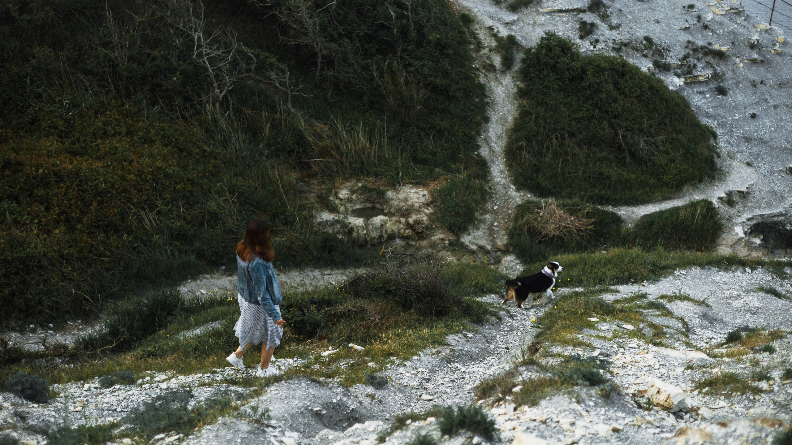 Ира и Джесс. Фотограф-анималист Богданова Полина