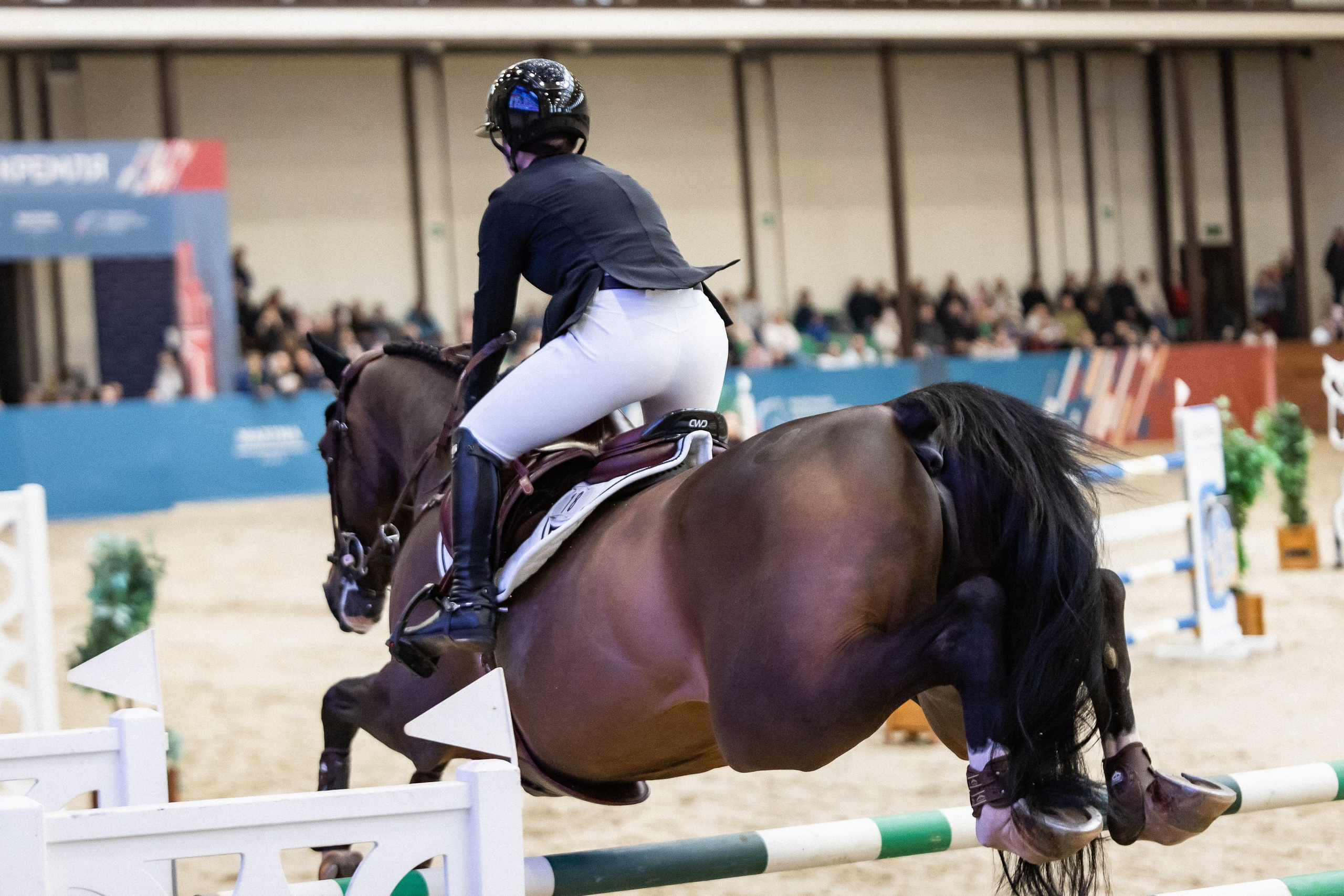 Кубок Кремля по Конкуру 12.04.25. Фотограф Владимир Охрименко