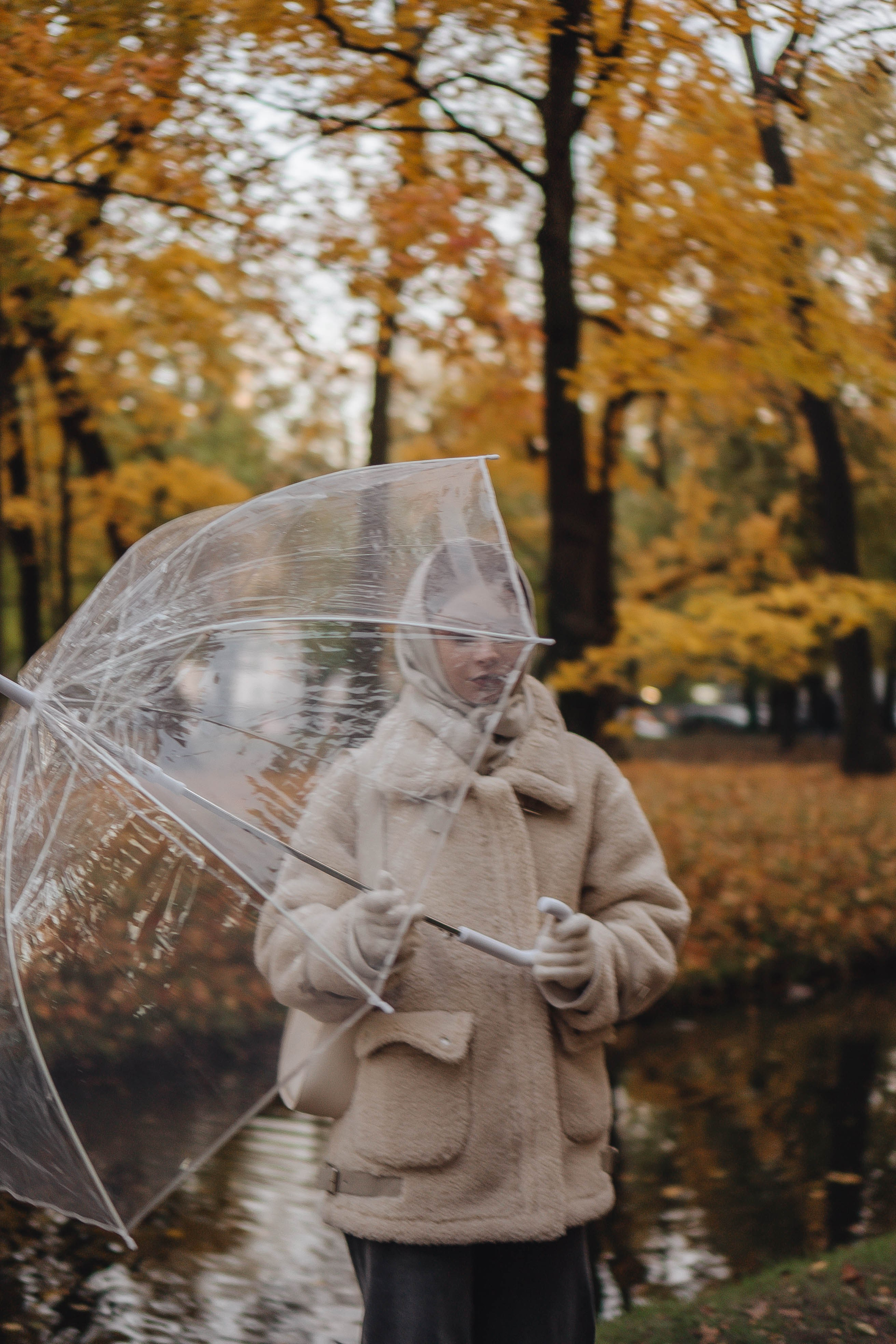 Осенняя. Профессиональный фотограф, Санкт-Петербург — Виктория Богомолова