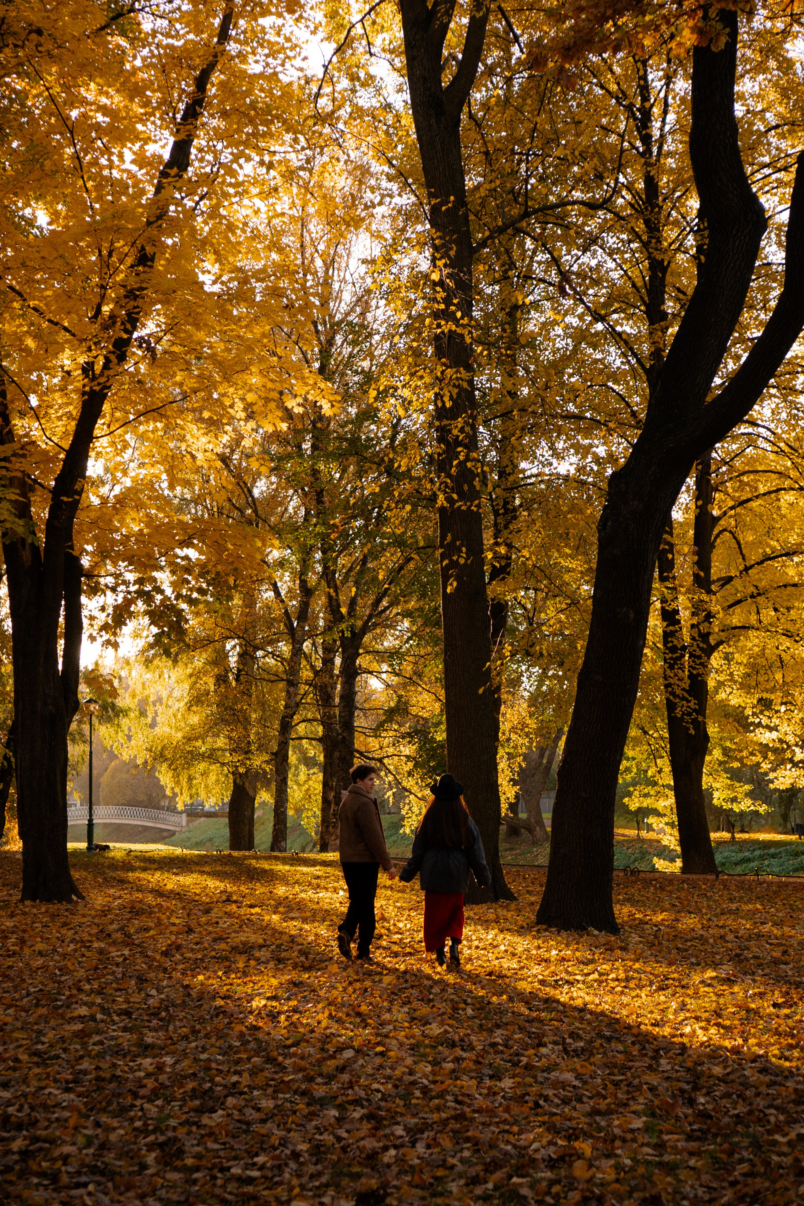 ОСЕННЯЯ ПРОГУЛКА. Профессиональный фотограф, Санкт-Петербург — Виктория Богомолова