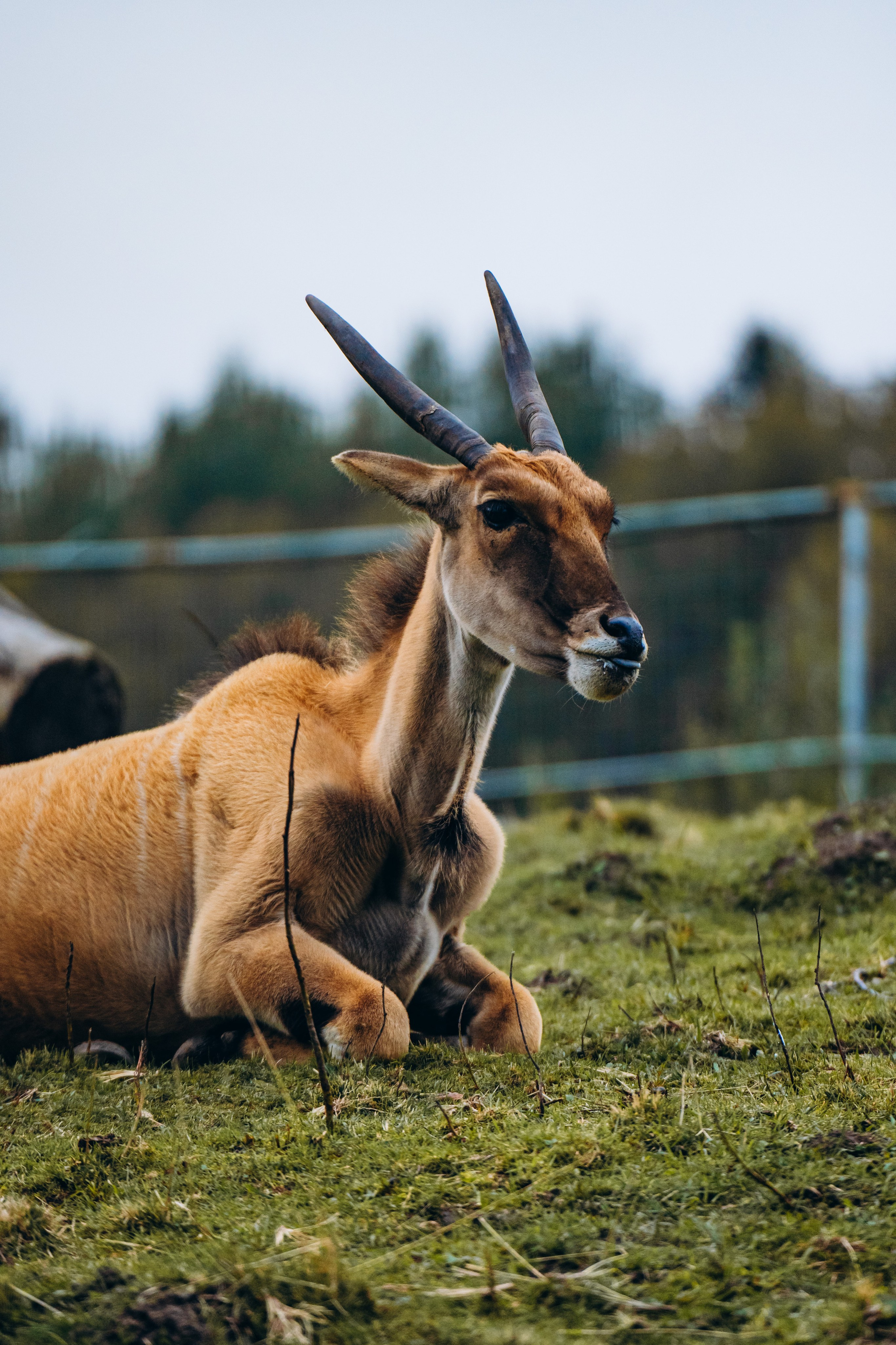СЕВЕР. Event фотограф Степанова Александра