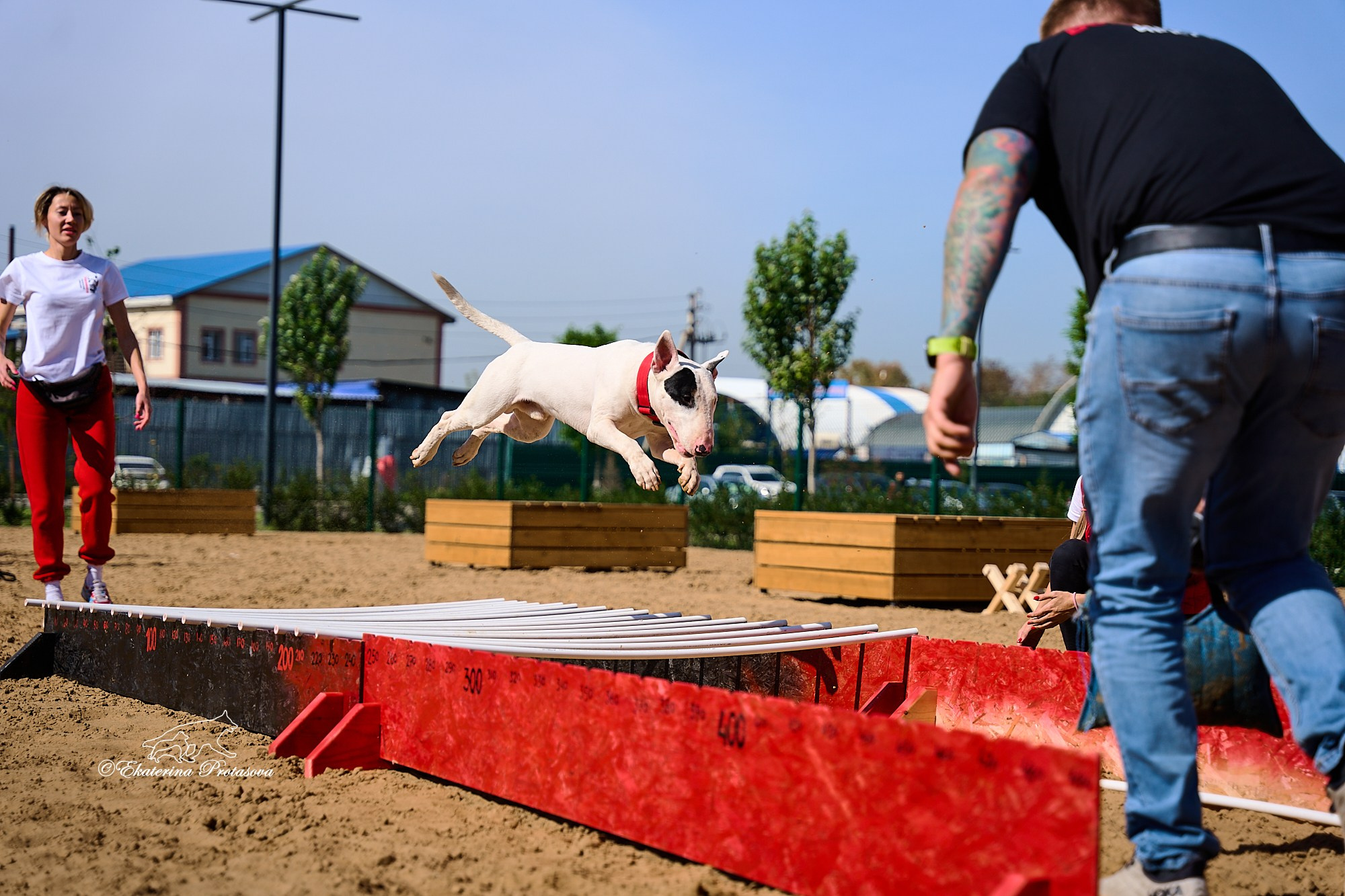 Питстафф многоборье. Фотограф-анималист в Иркутске