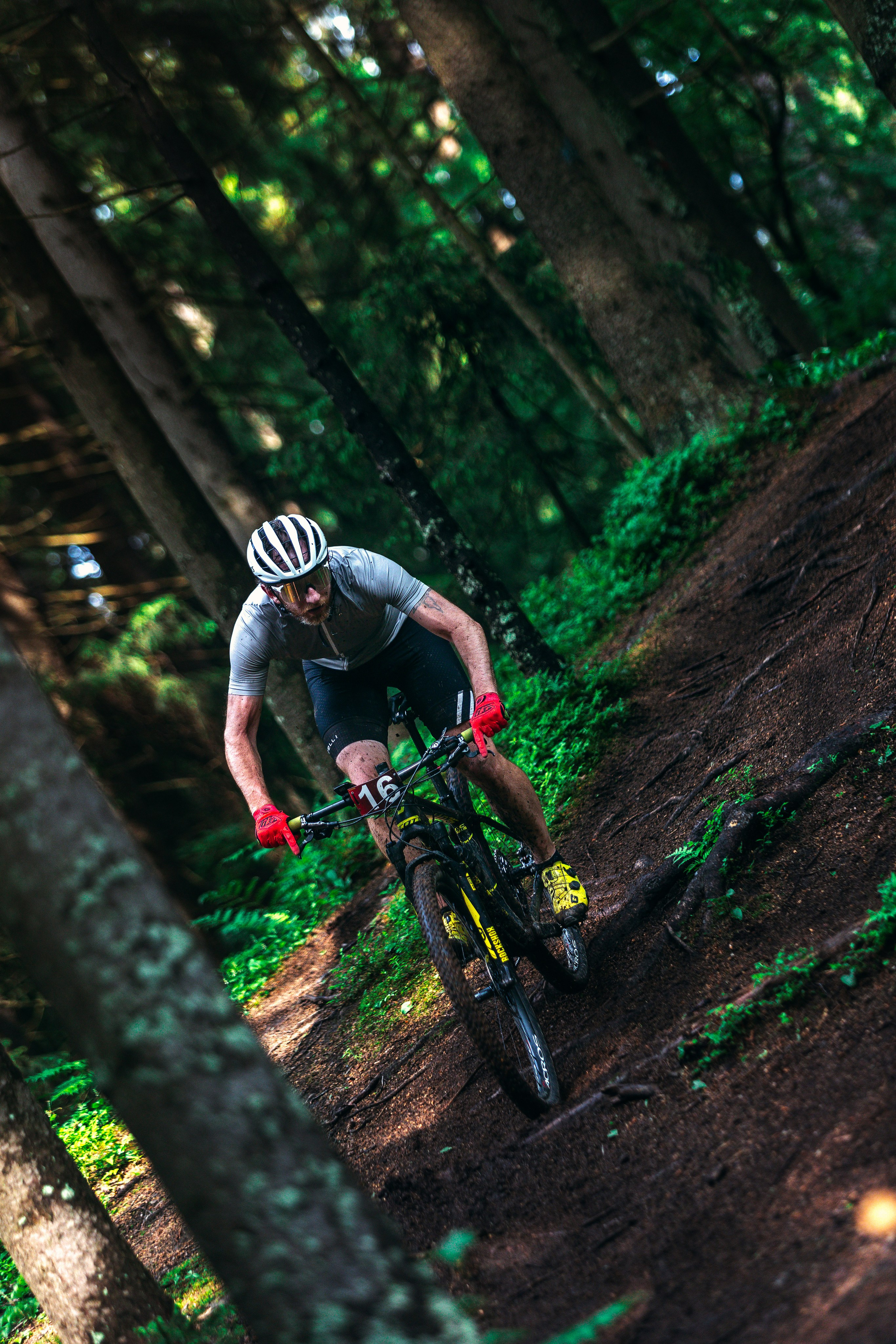 Гонка Юкки. Фотограф анималист Никита Натальный