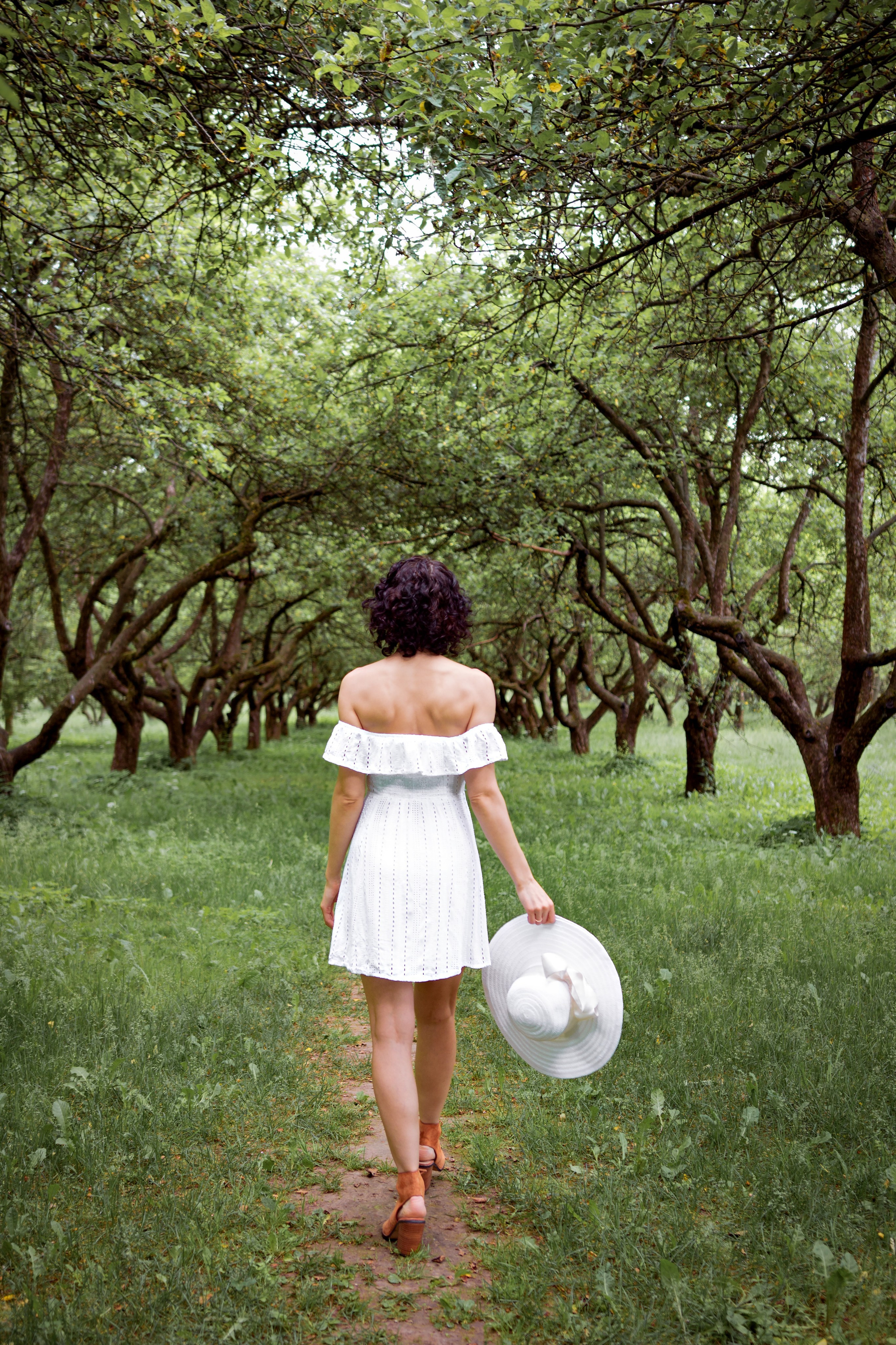 Зелёная симфония