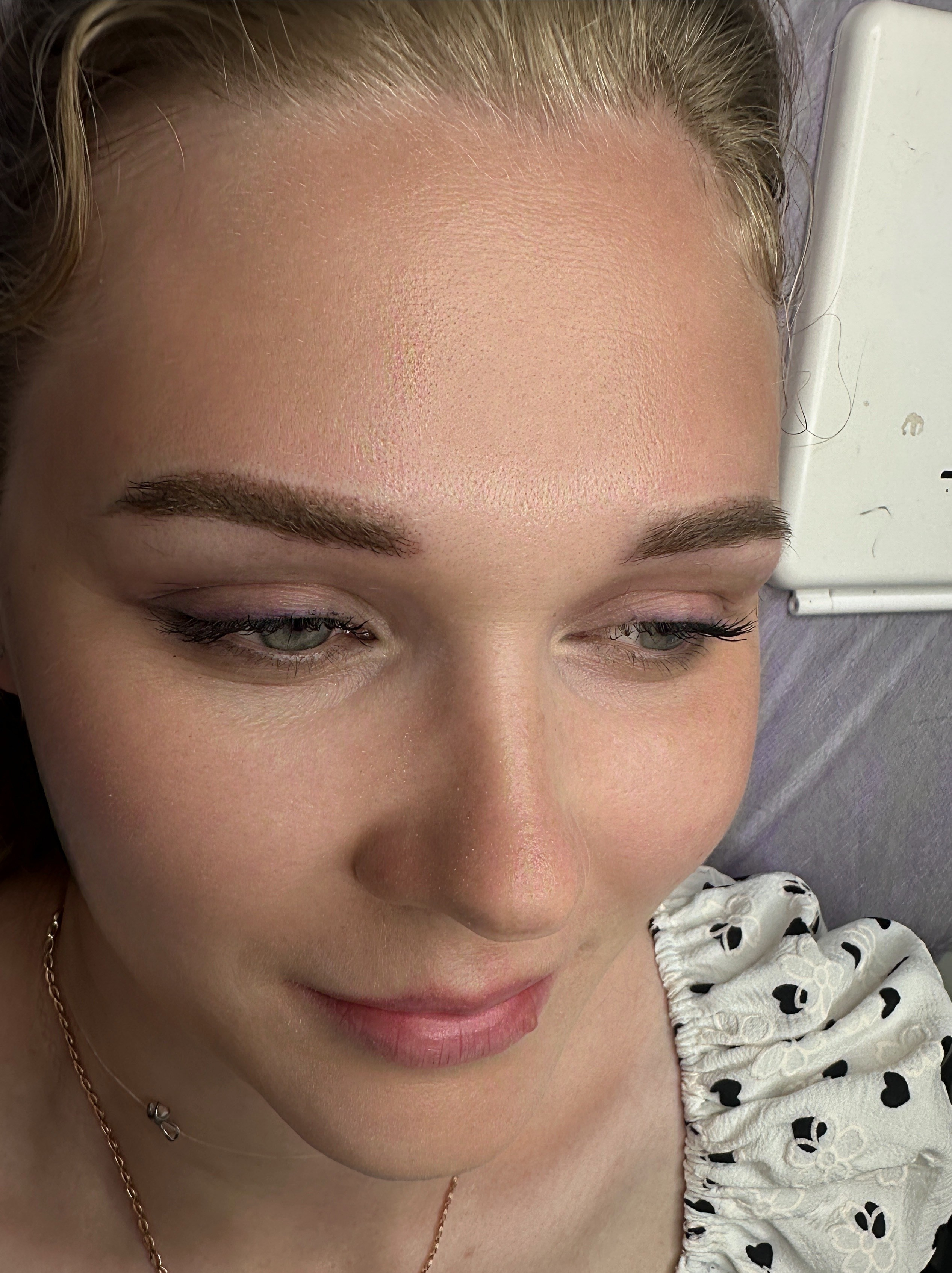 Перманентный макияж. Перманент PigmentLab Olga