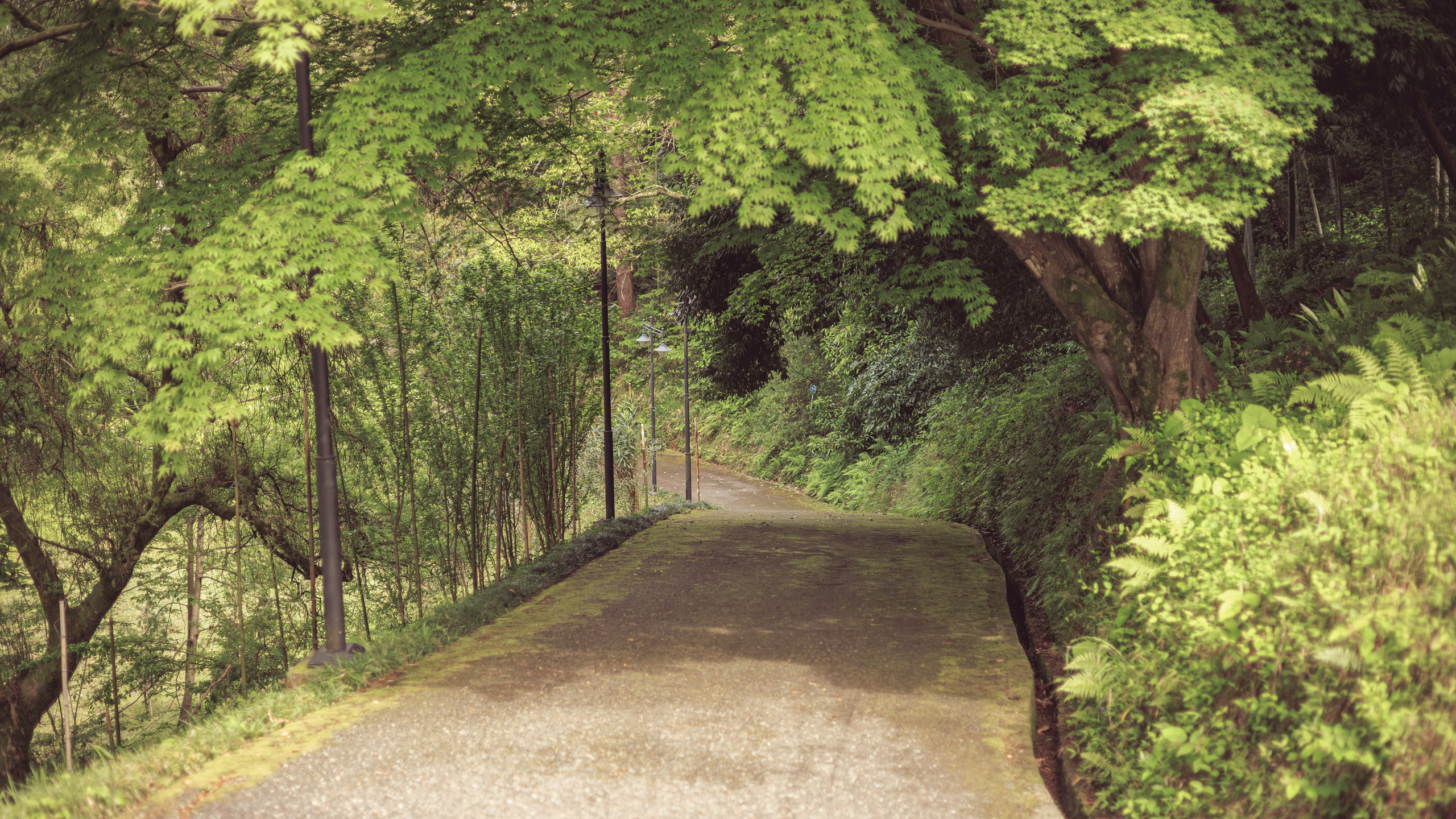 Ботсад. Сайт о фотографии, Москва