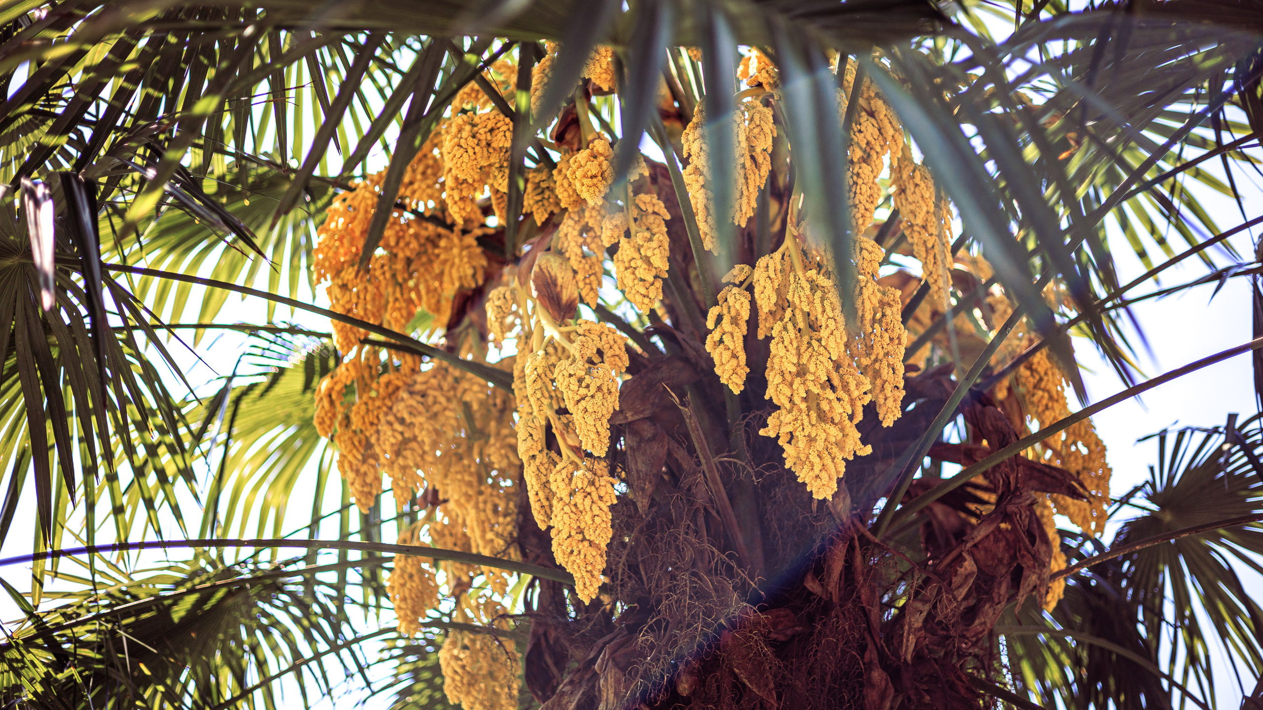 Ботсад. Сайт о фотографии, Москва