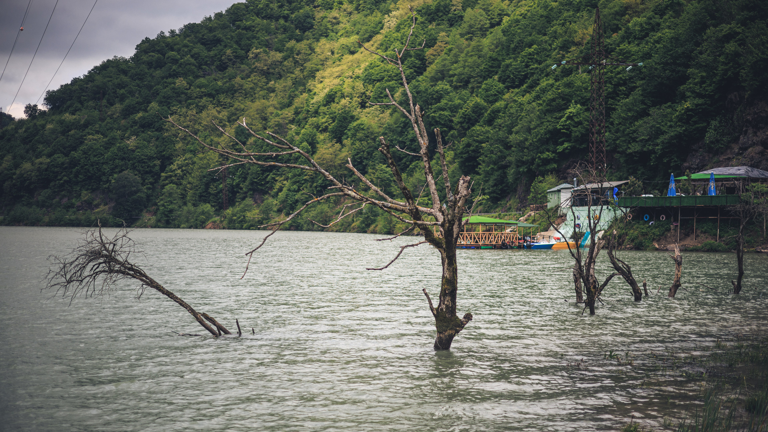 Прогулка. Сайт о фотографии, Москва