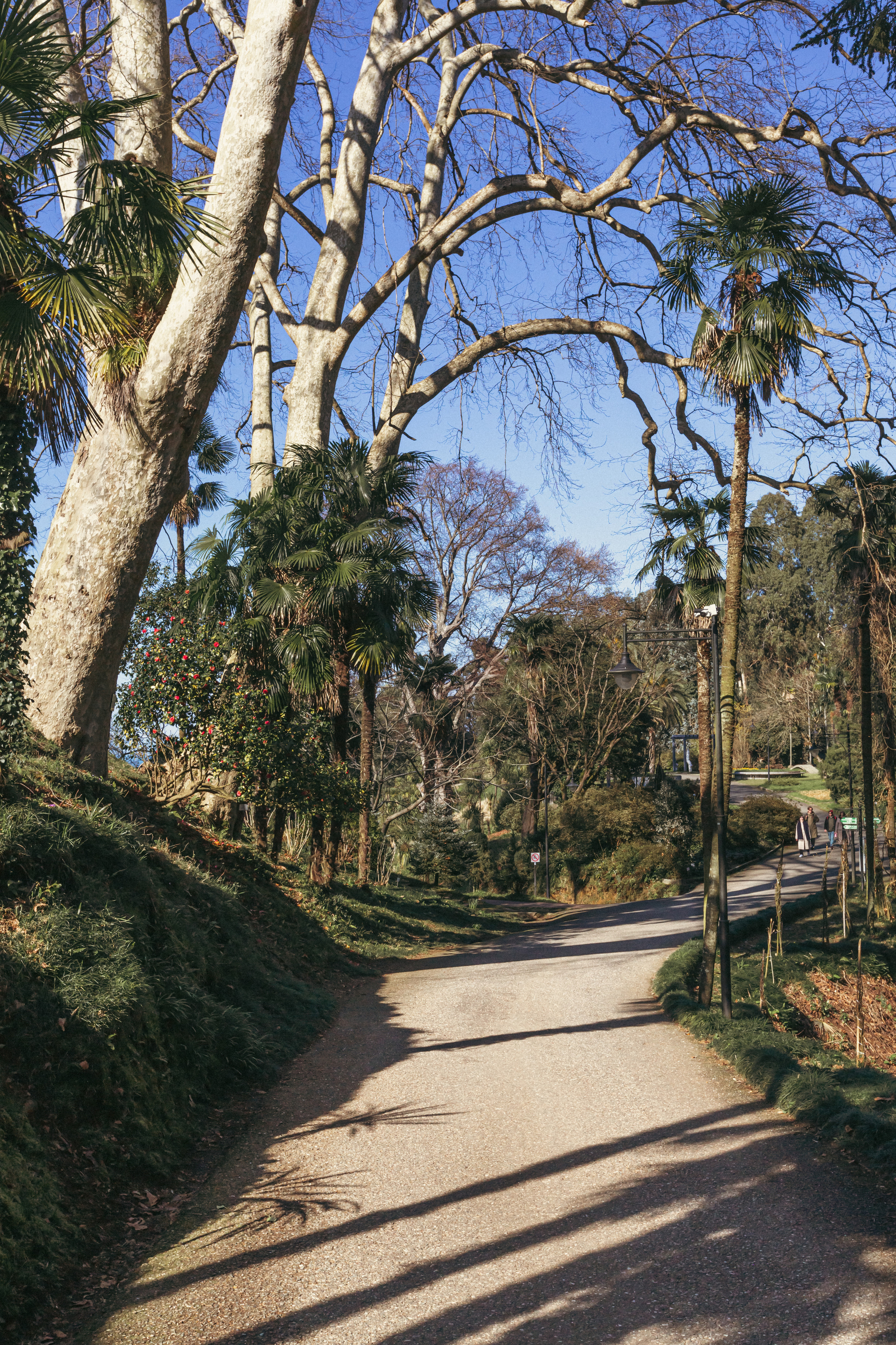 Ботанический сад. Сайт о фотографии, Москва