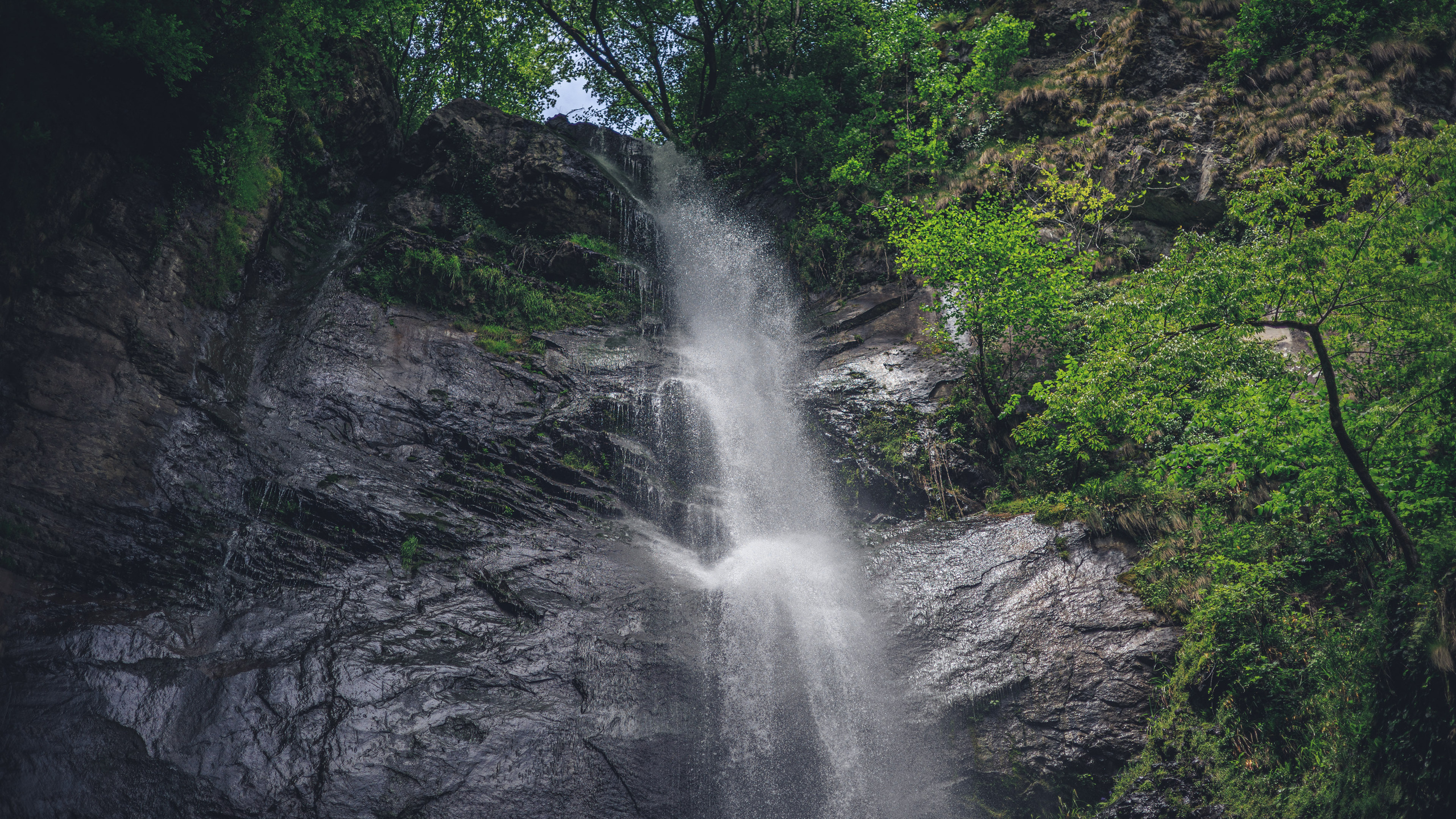 Прогулка. Сайт о фотографии, Москва