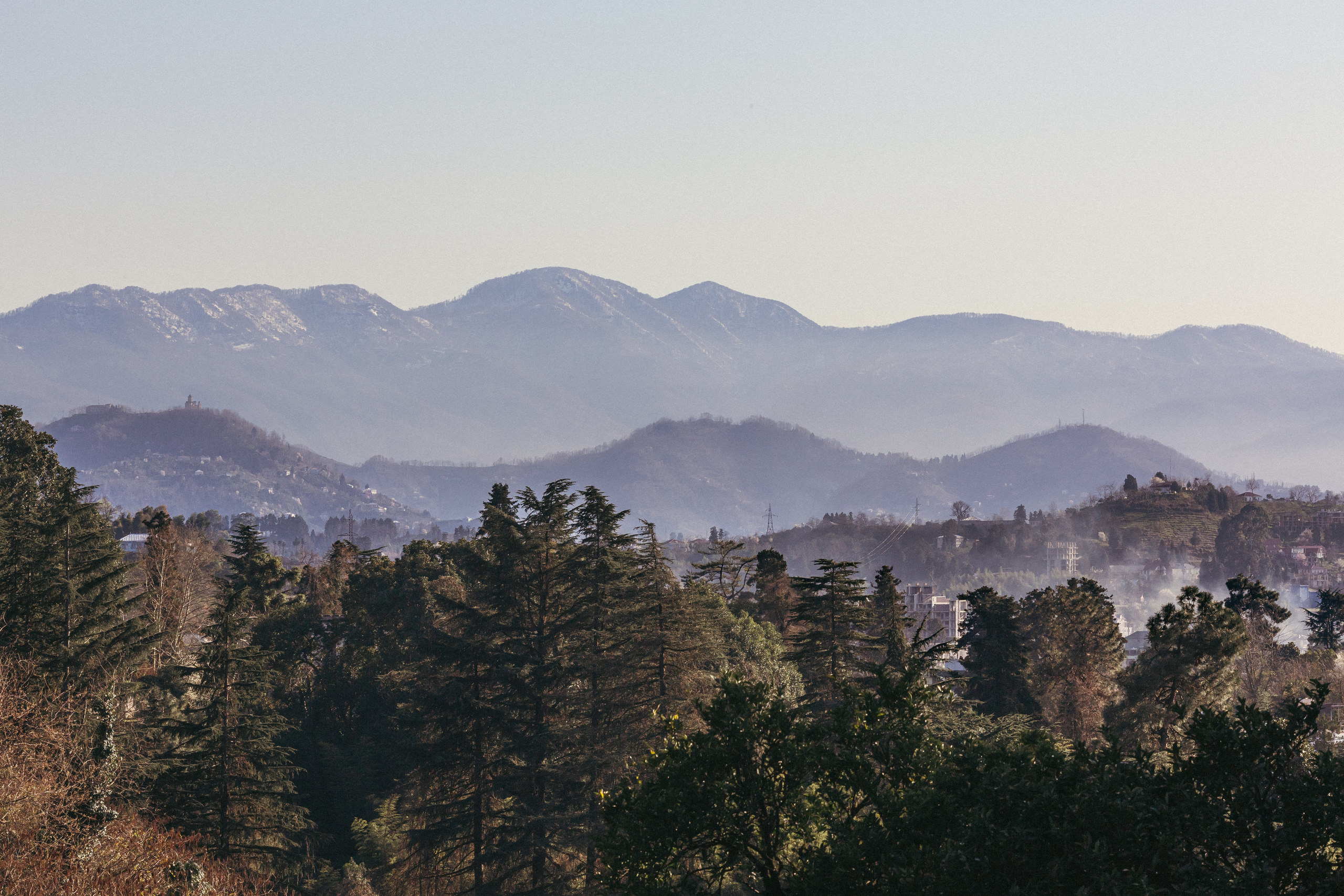 Ботанический сад. Сайт о фотографии, Москва
