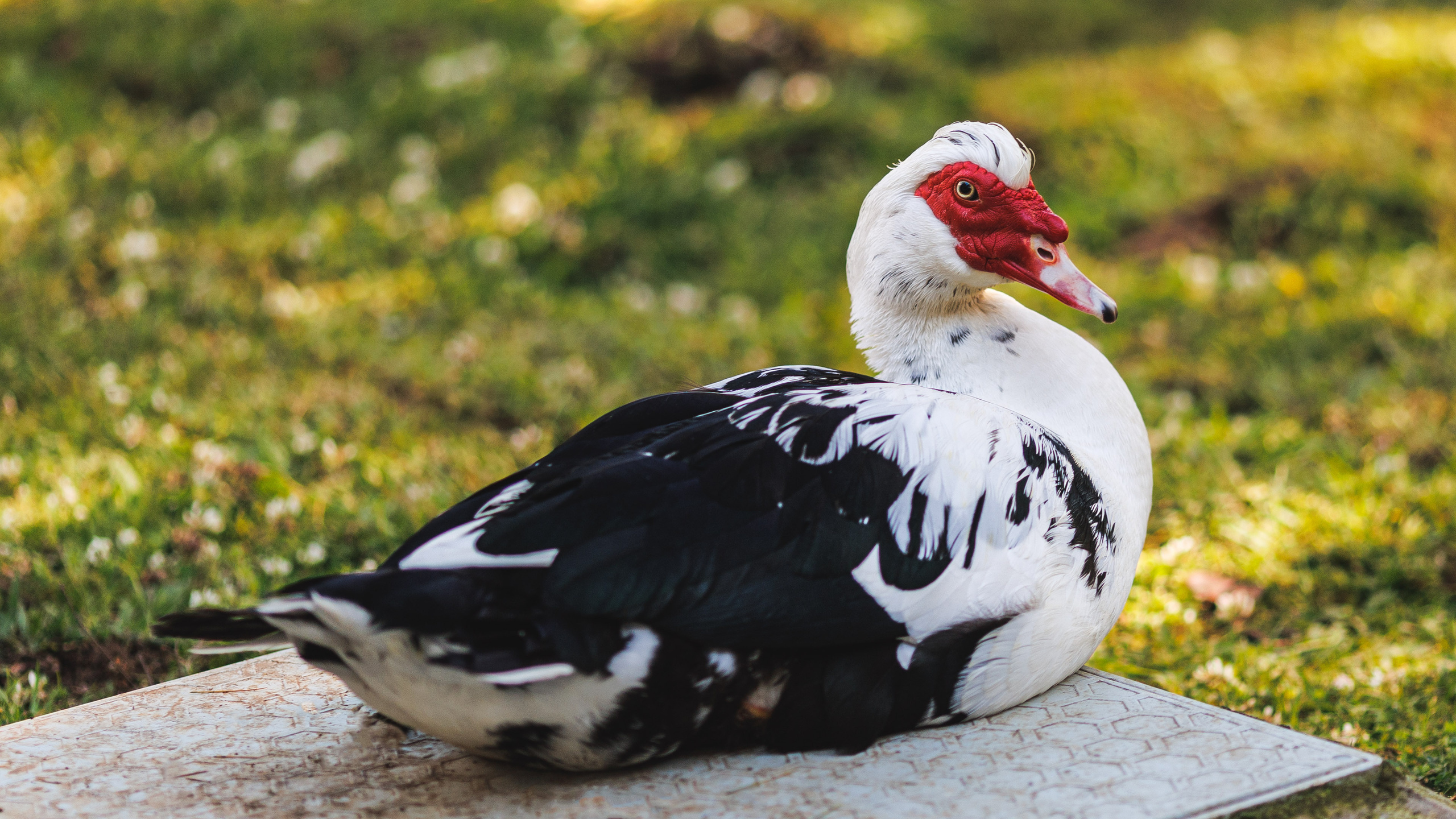 Прогулка. Сайт о фотографии, Москва