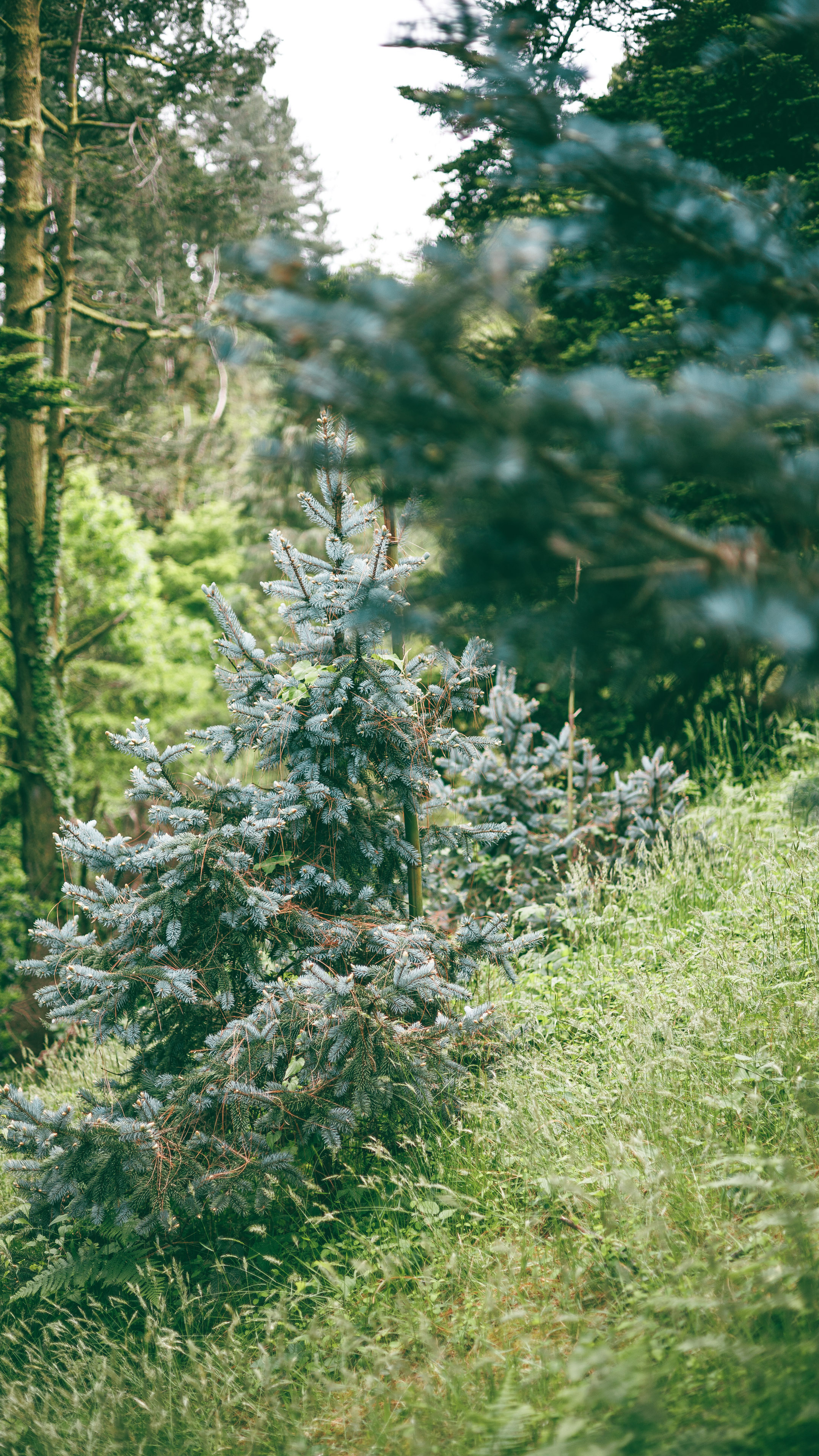 Ботсад. Сайт о фотографии, Москва