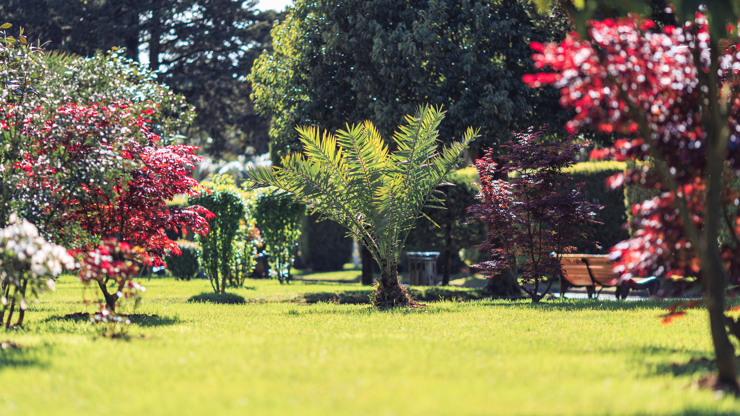 Прогулка. Сайт о фотографии, Москва