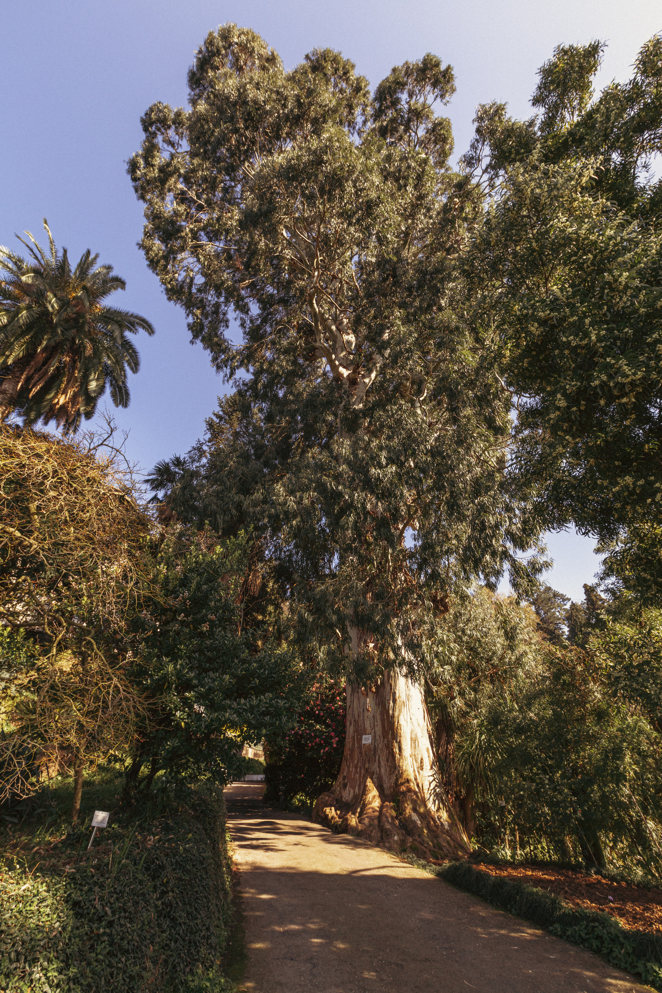 Ботанический сад. Сайт о фотографии, Москва