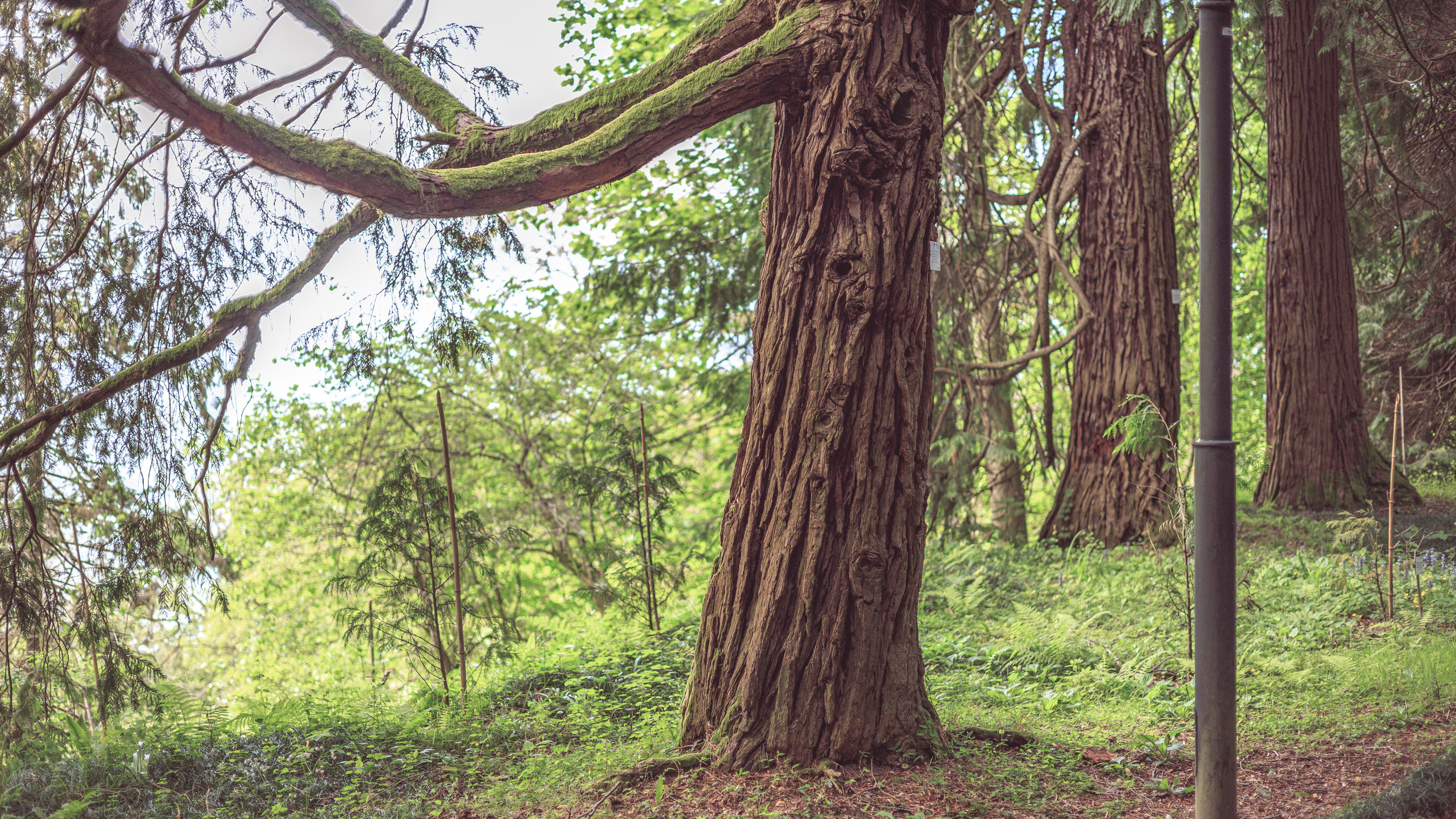 Ботсад. Сайт о фотографии, Москва