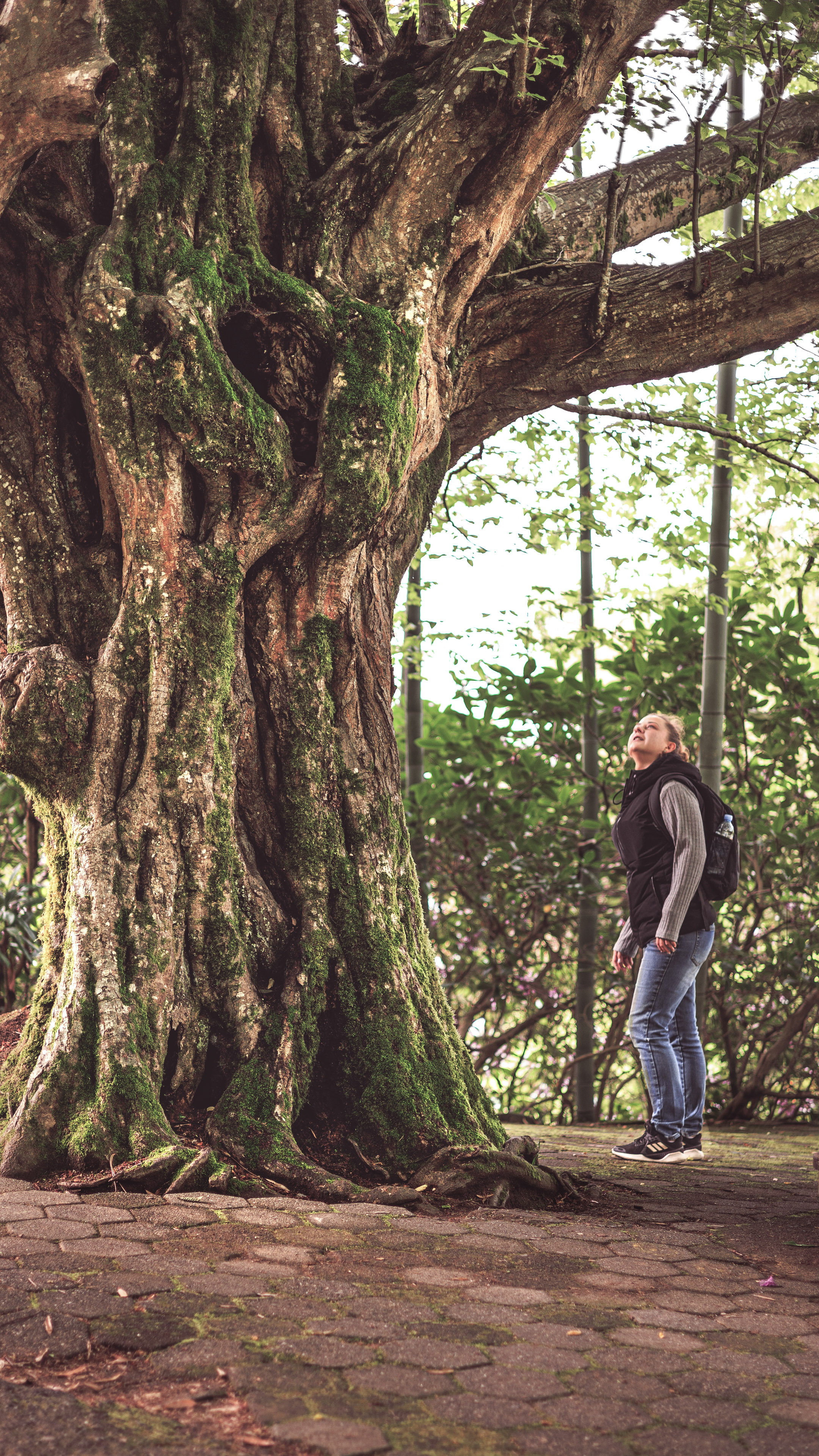 Ботсад. Сайт о фотографии, Москва