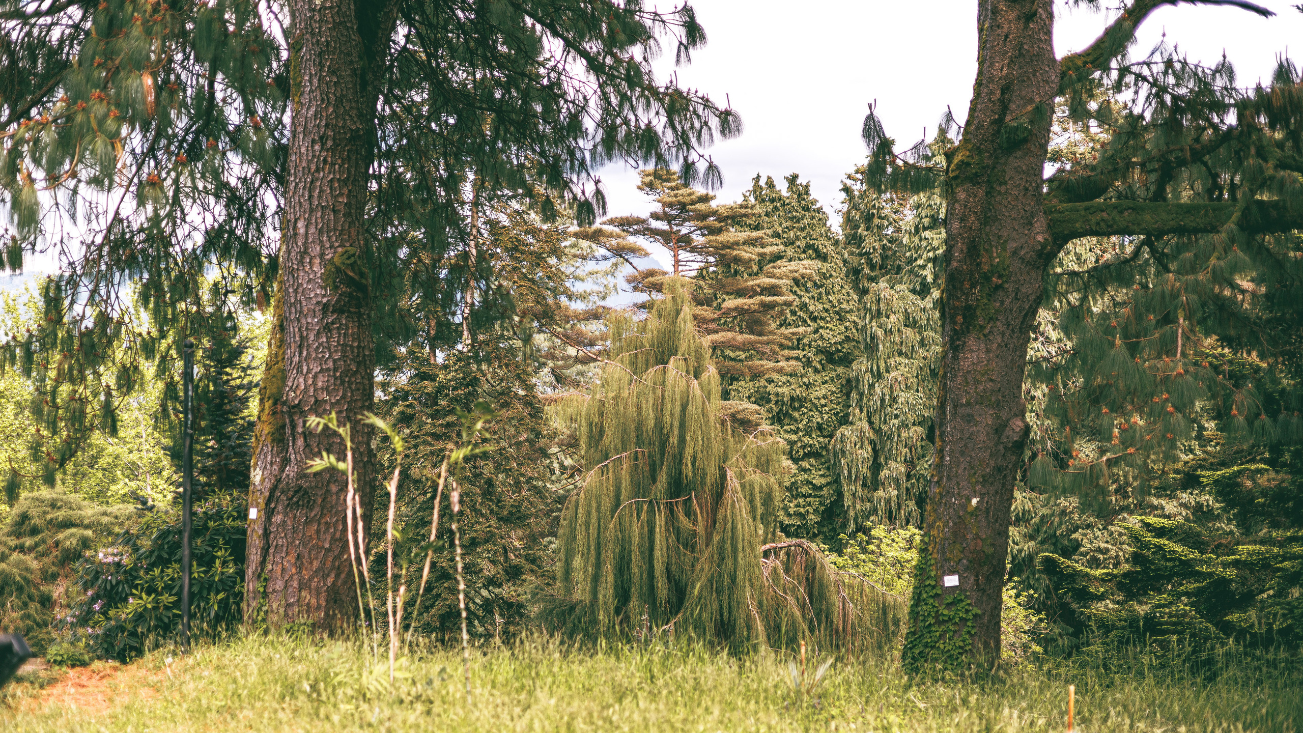 Ботсад. Сайт о фотографии, Москва