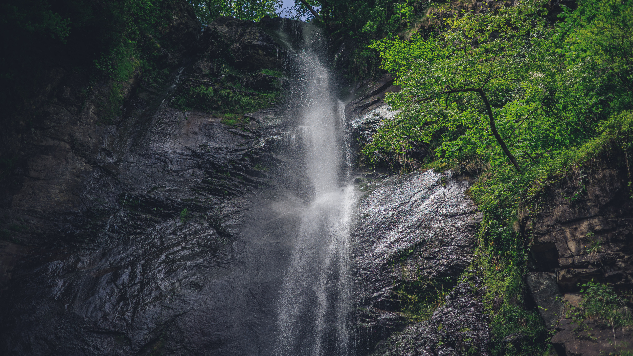 Прогулка. Сайт о фотографии, Москва
