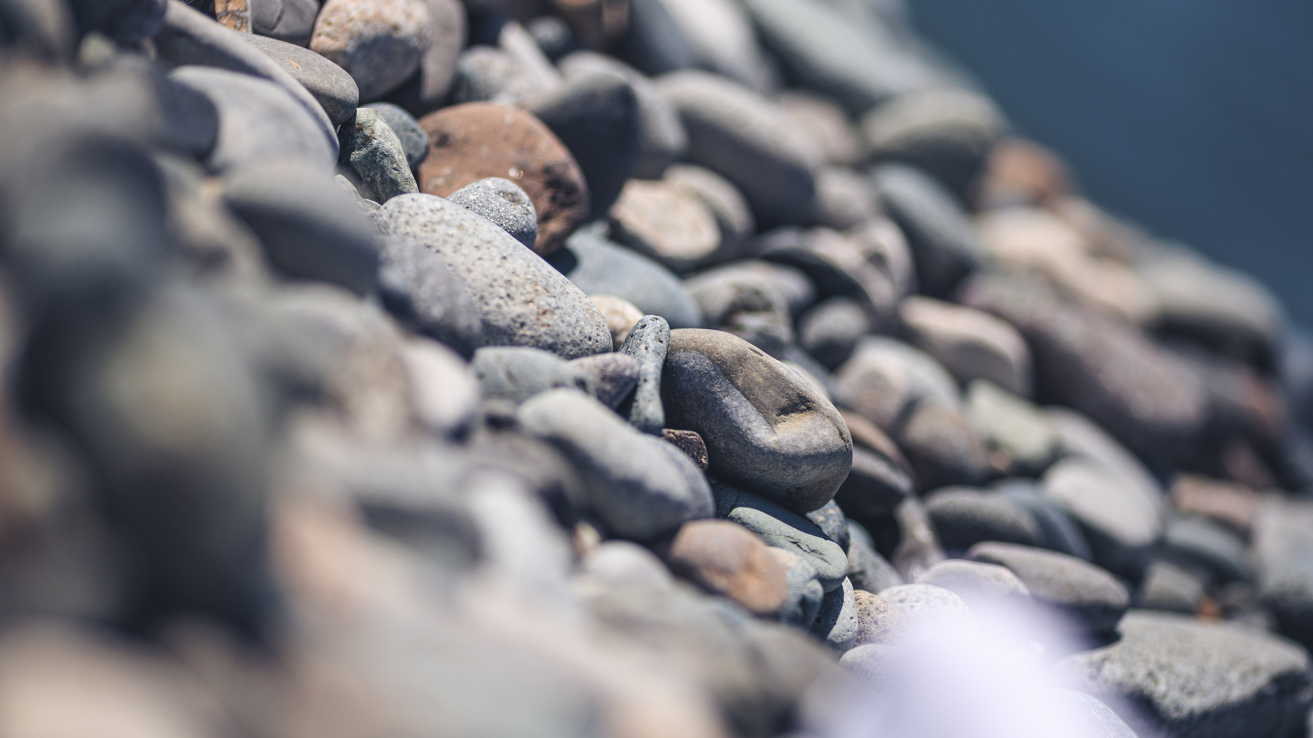 Прогулка. Сайт о фотографии, Москва