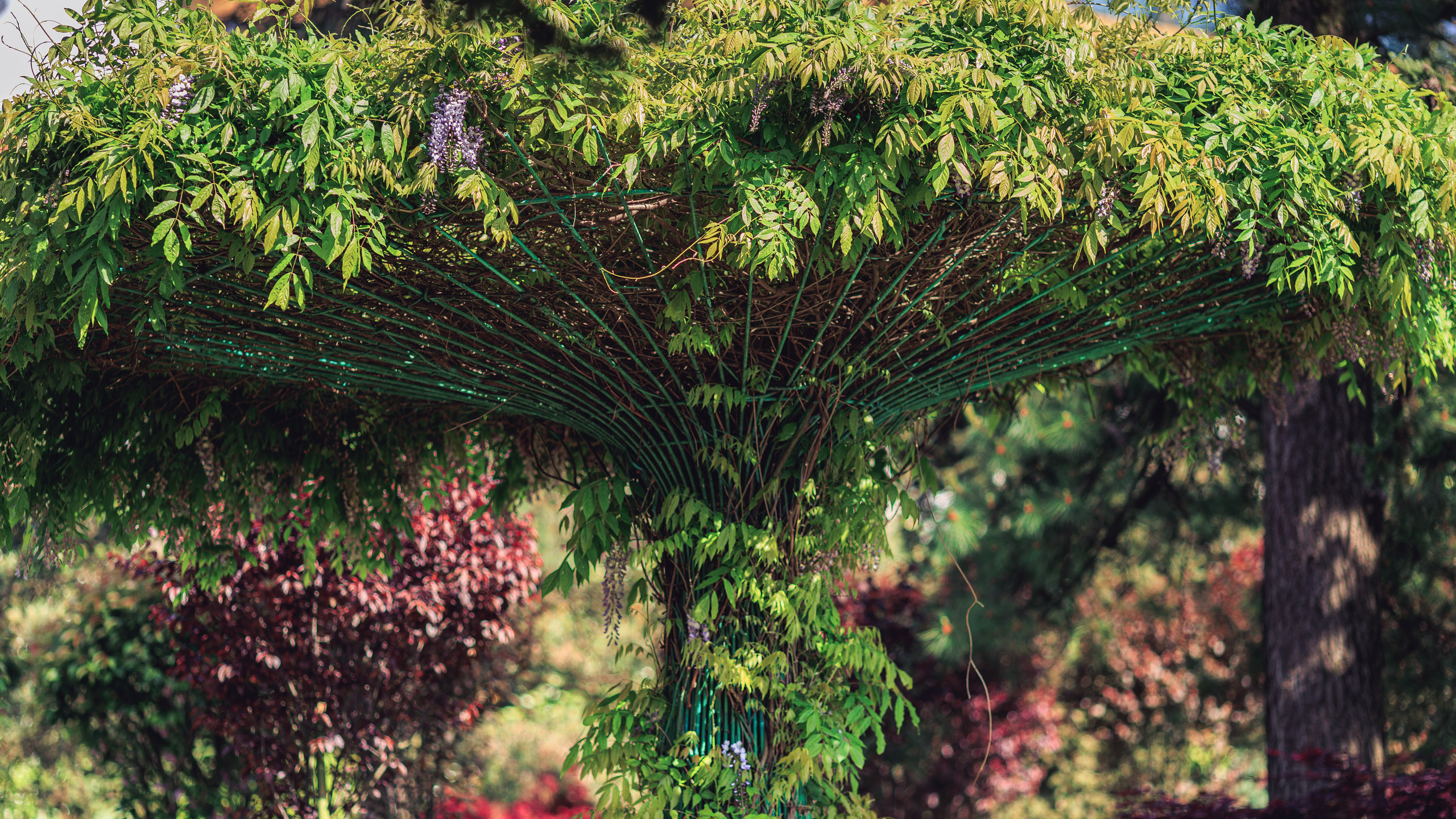 Прогулка. Сайт о фотографии, Москва