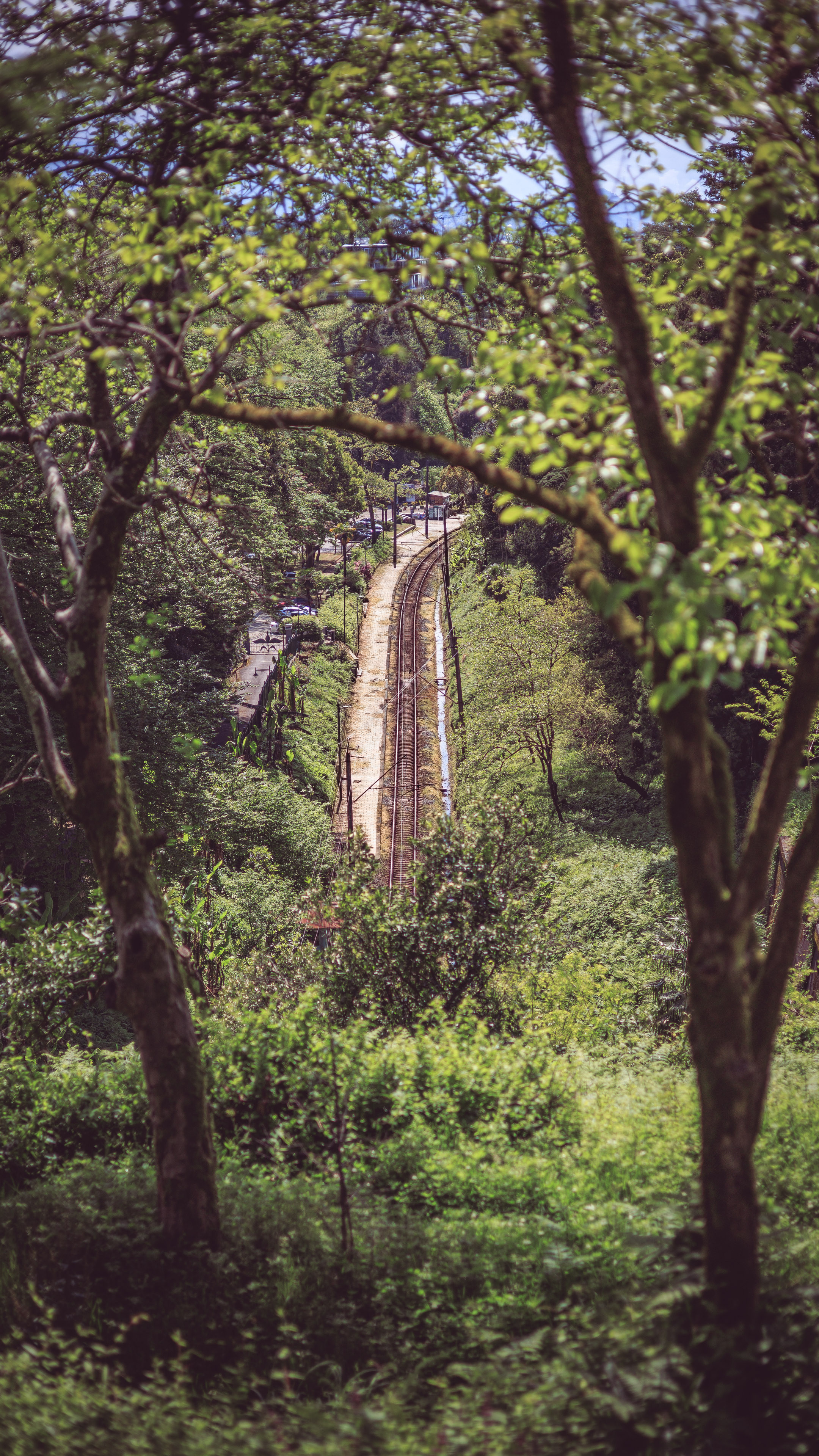 Ботсад. Сайт о фотографии, Москва