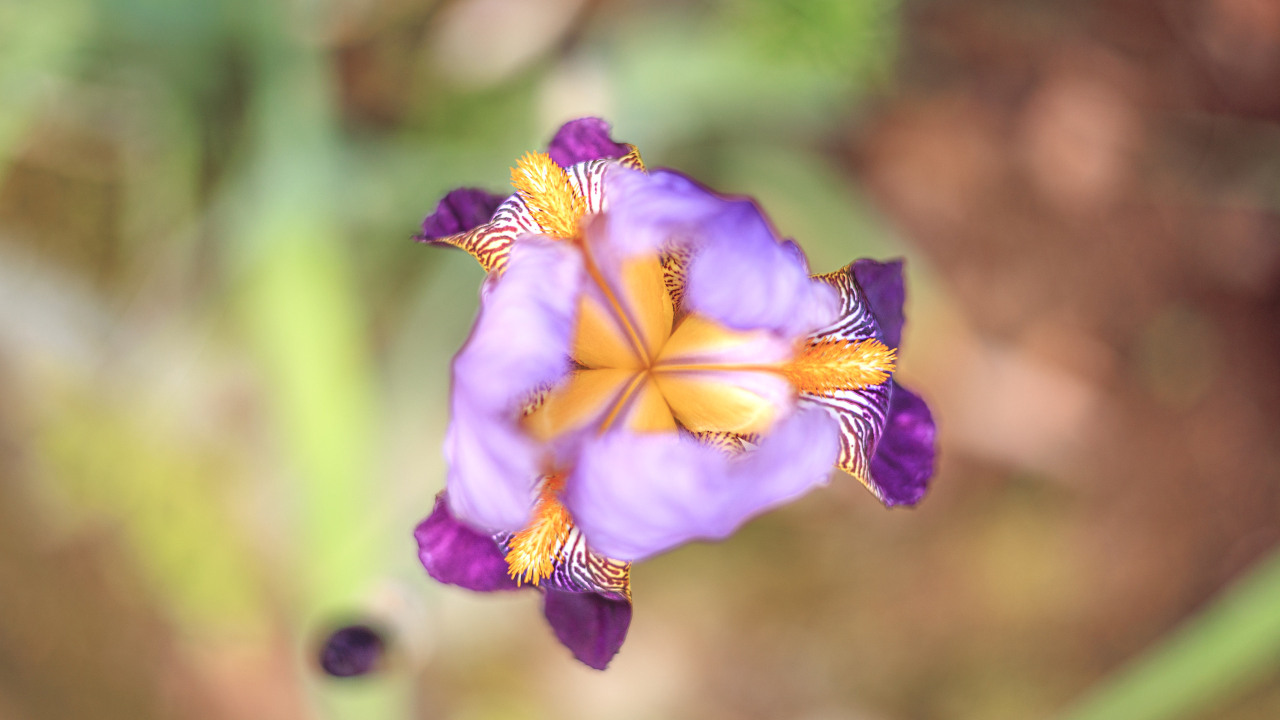 Ботсад. Сайт о фотографии, Москва