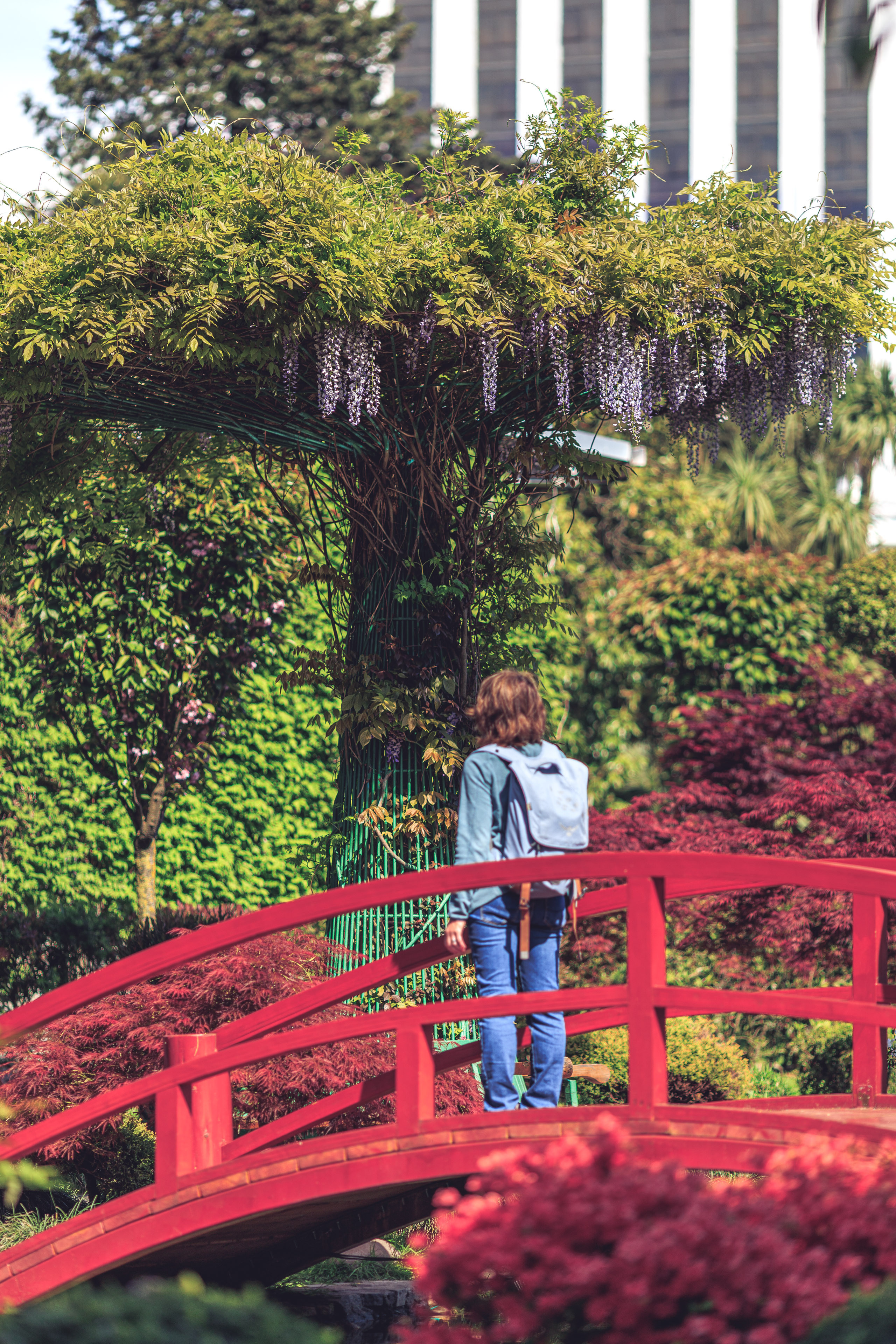 Прогулка. Сайт о фотографии, Москва