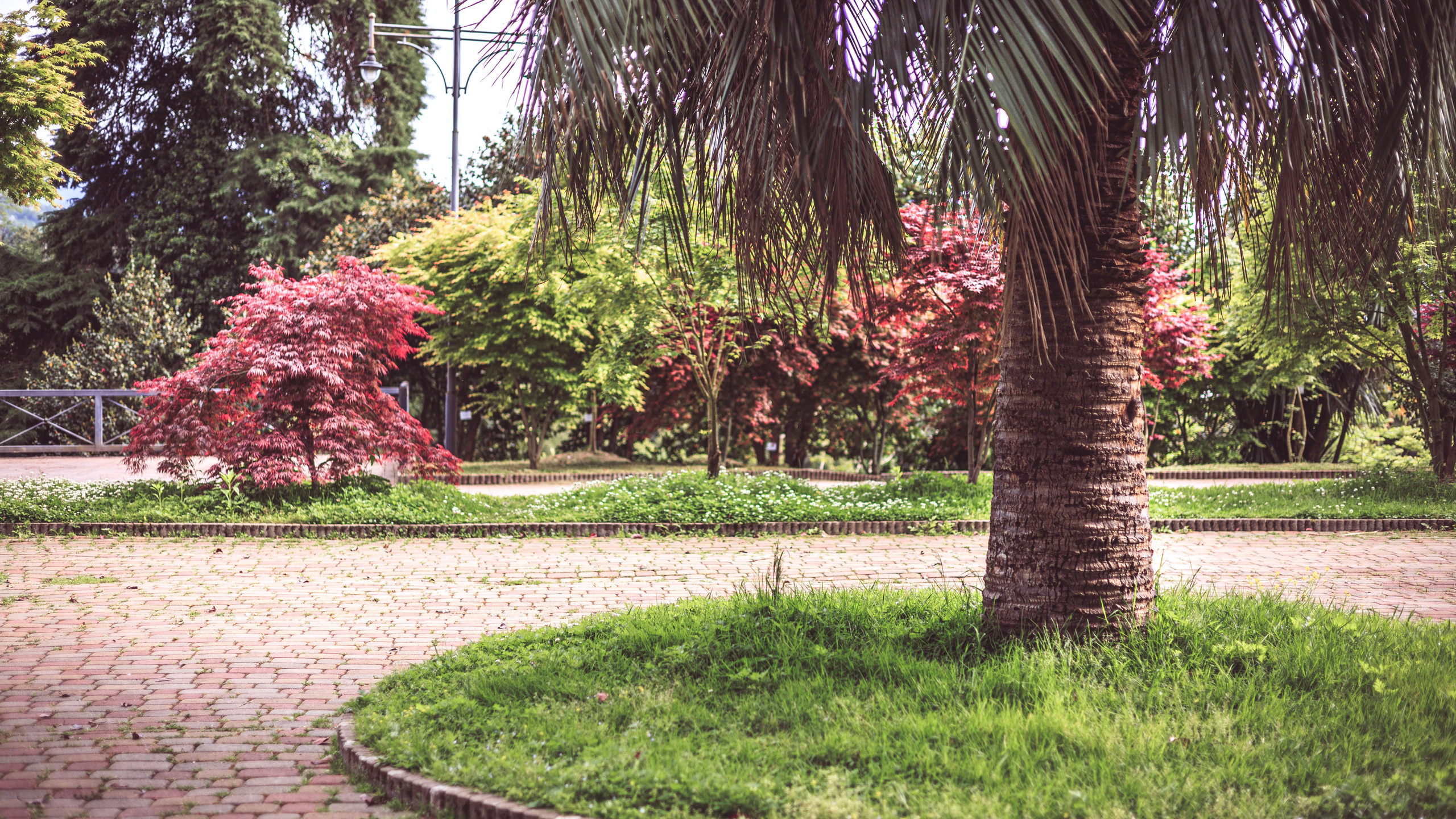 Ботсад. Сайт о фотографии, Москва